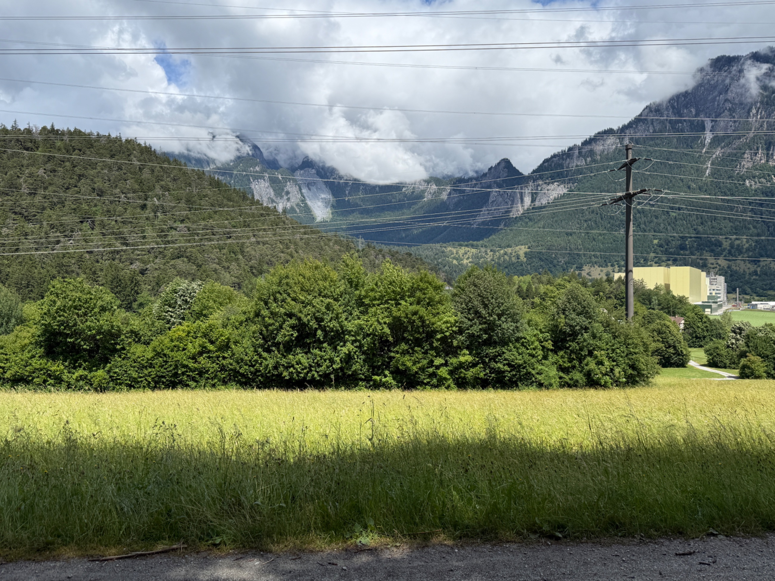 IMG_6030.jpeg