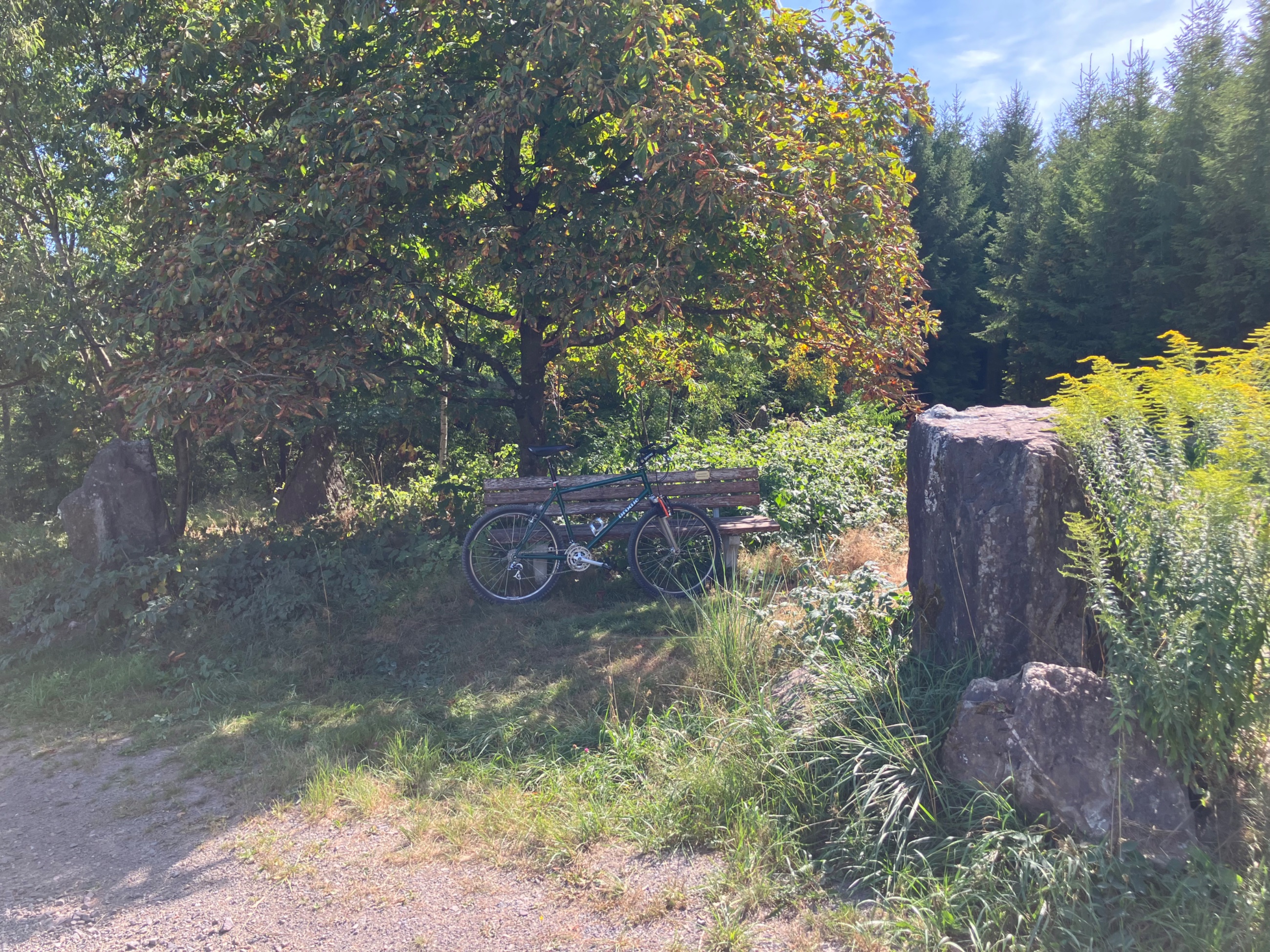 IMG_6052.jpeg