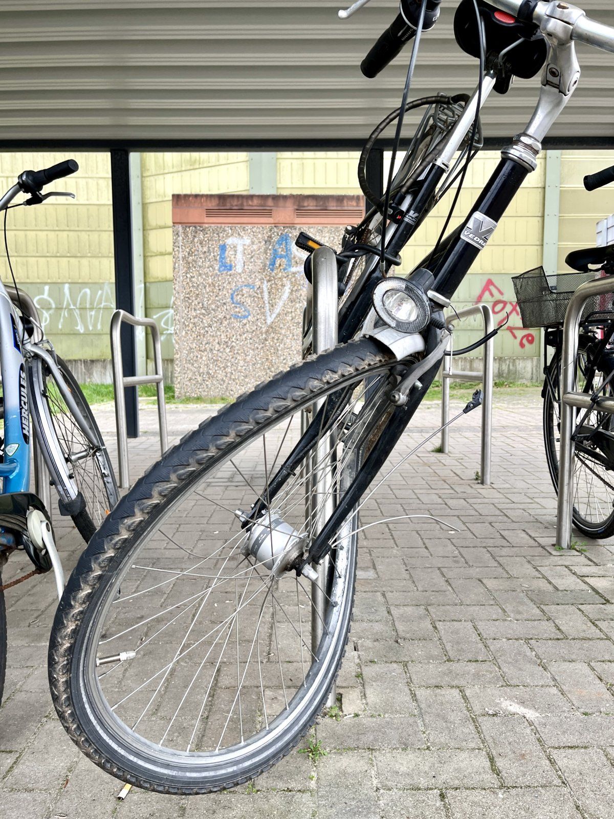 IMG_6091.jpeg