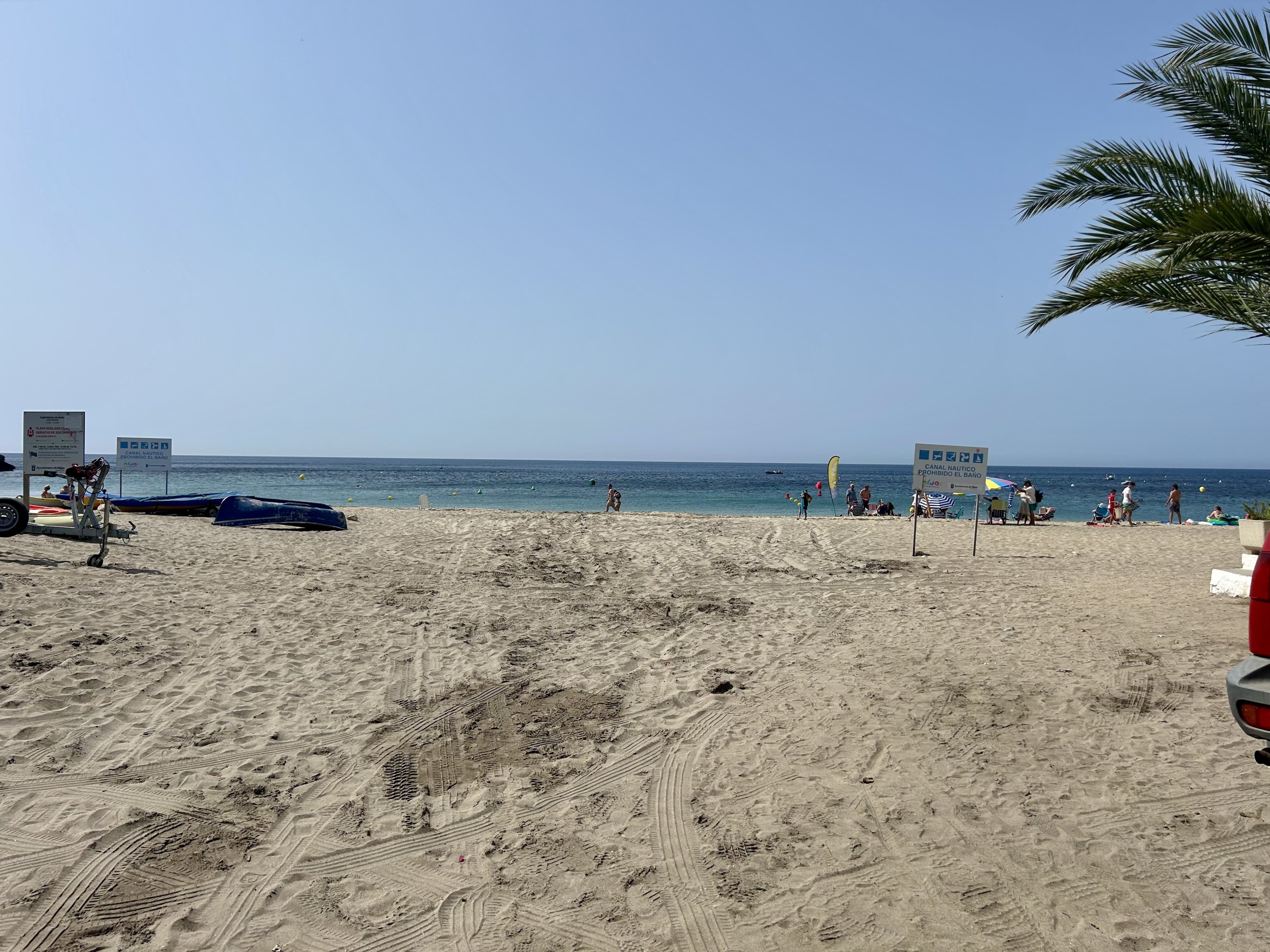 IMG_6142.jpeg