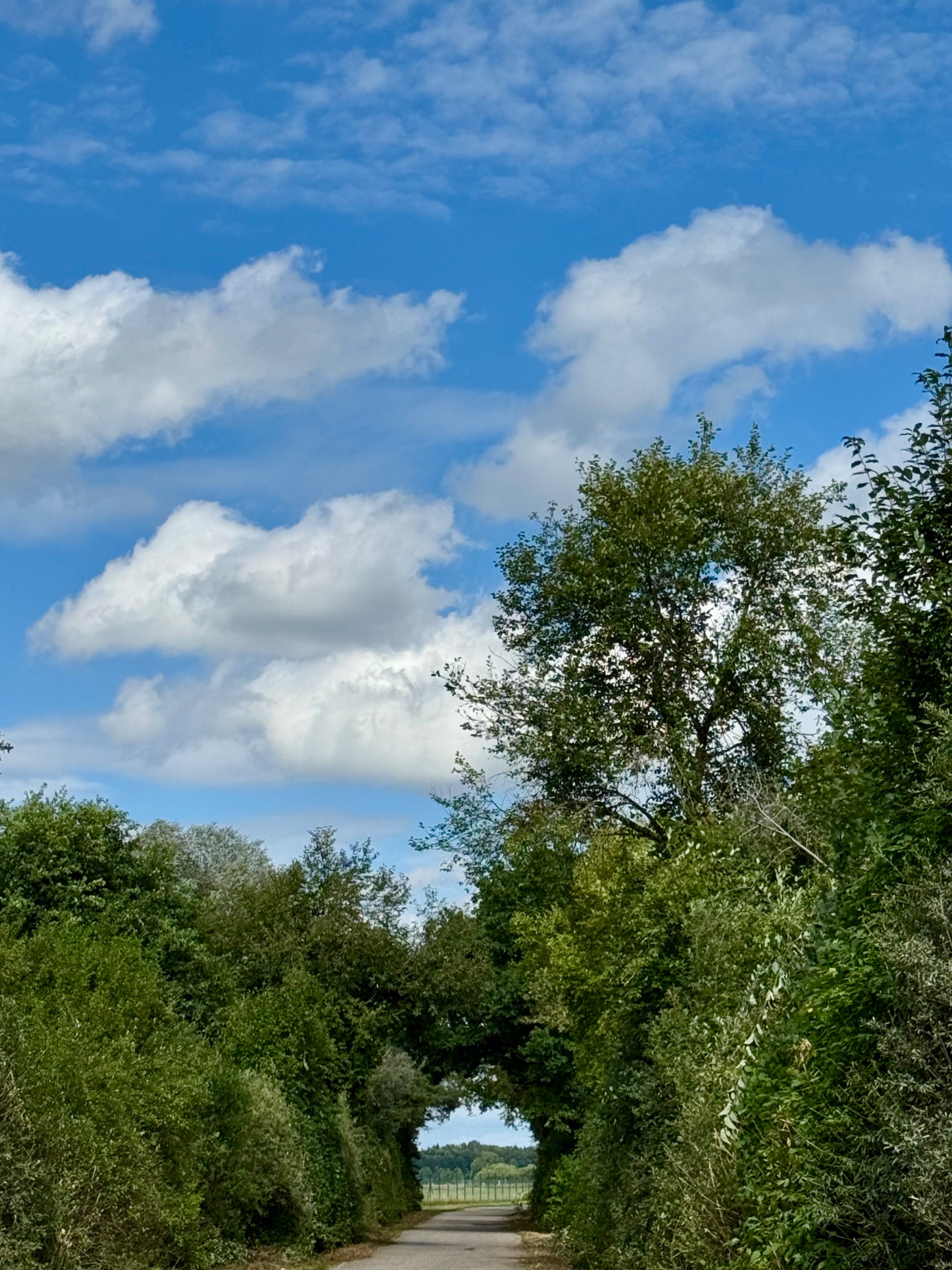 IMG_6188.jpeg