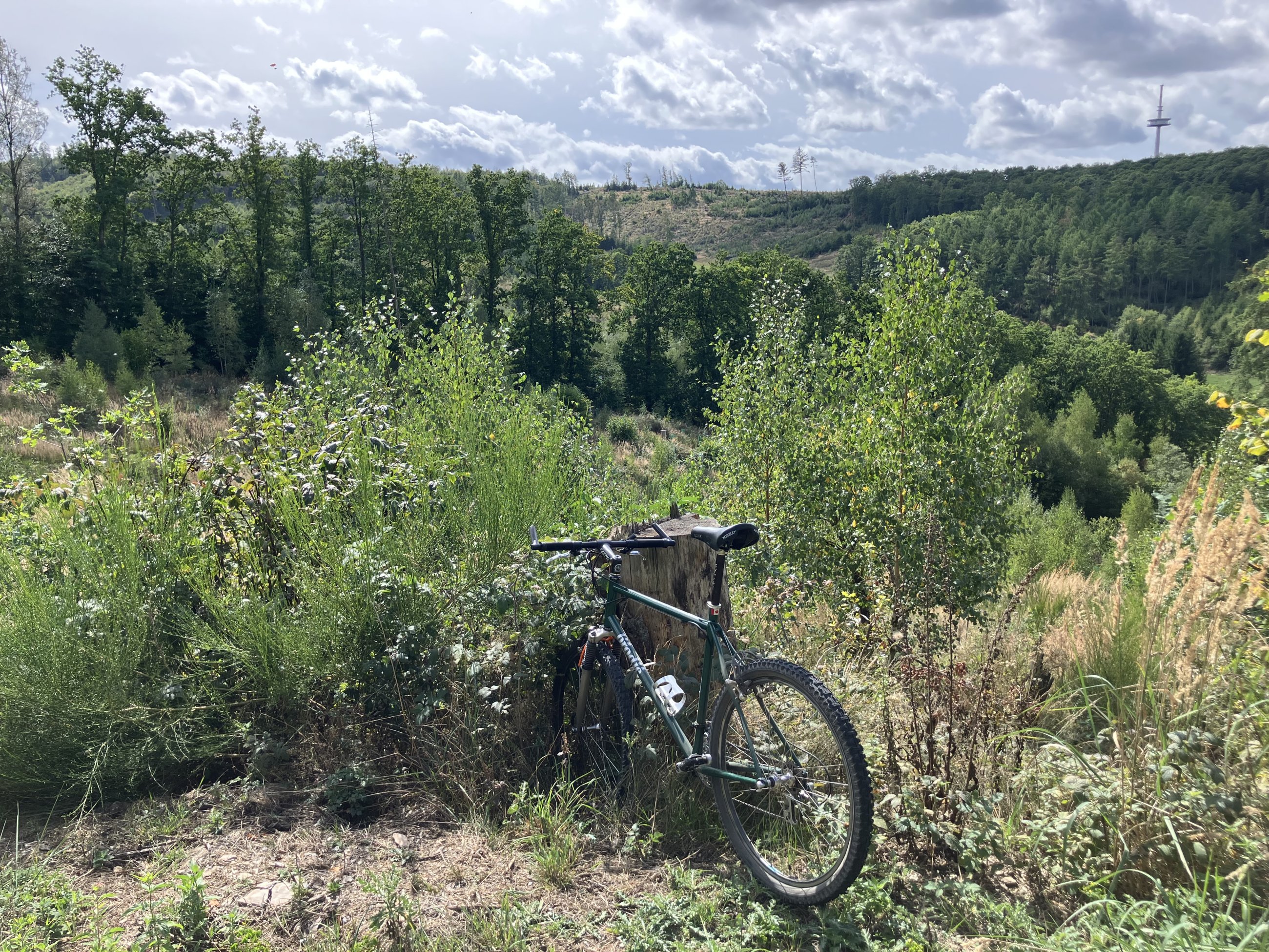 IMG_6201.jpeg