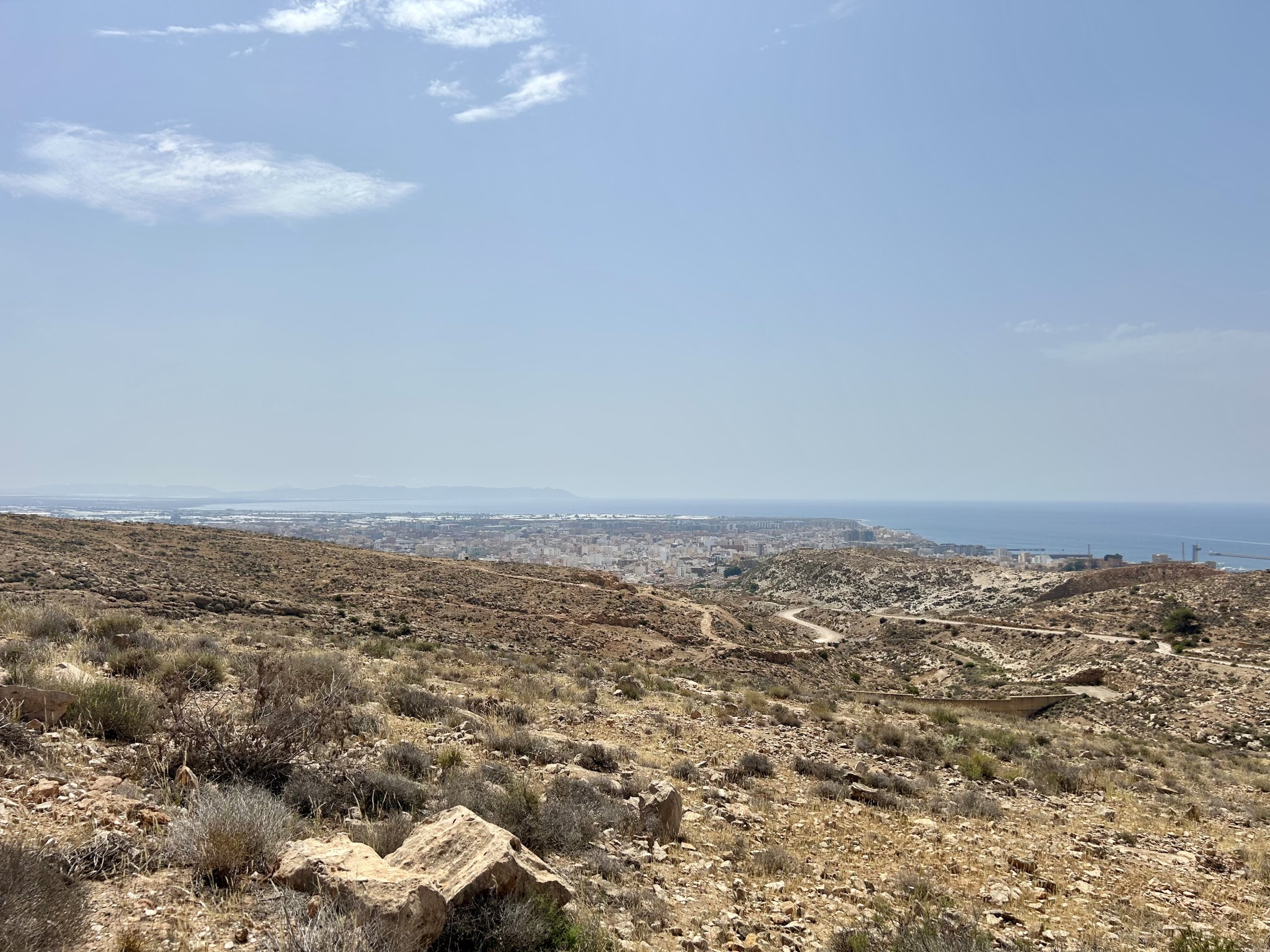 IMG_6202.jpeg