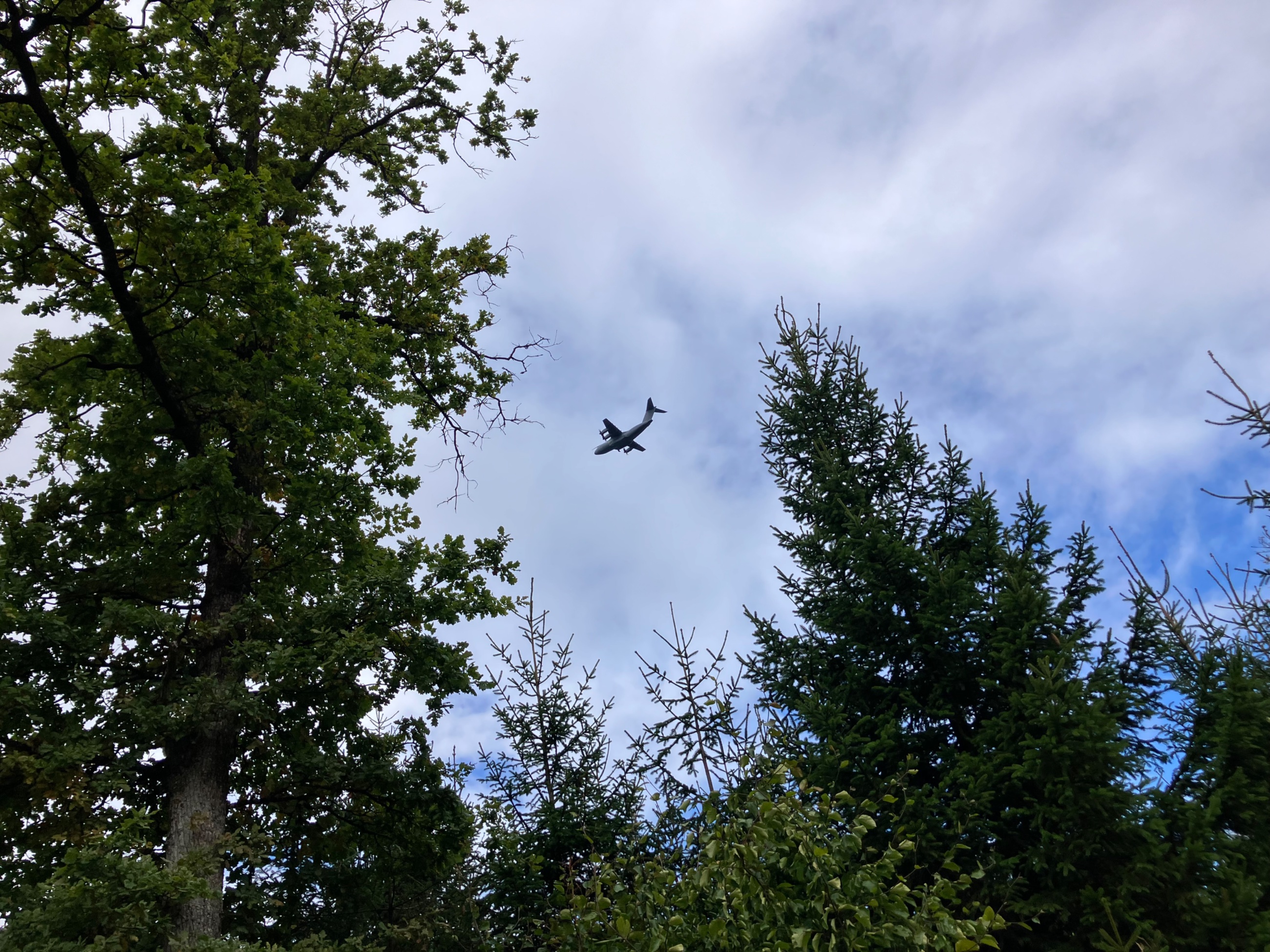 IMG_6245.jpeg