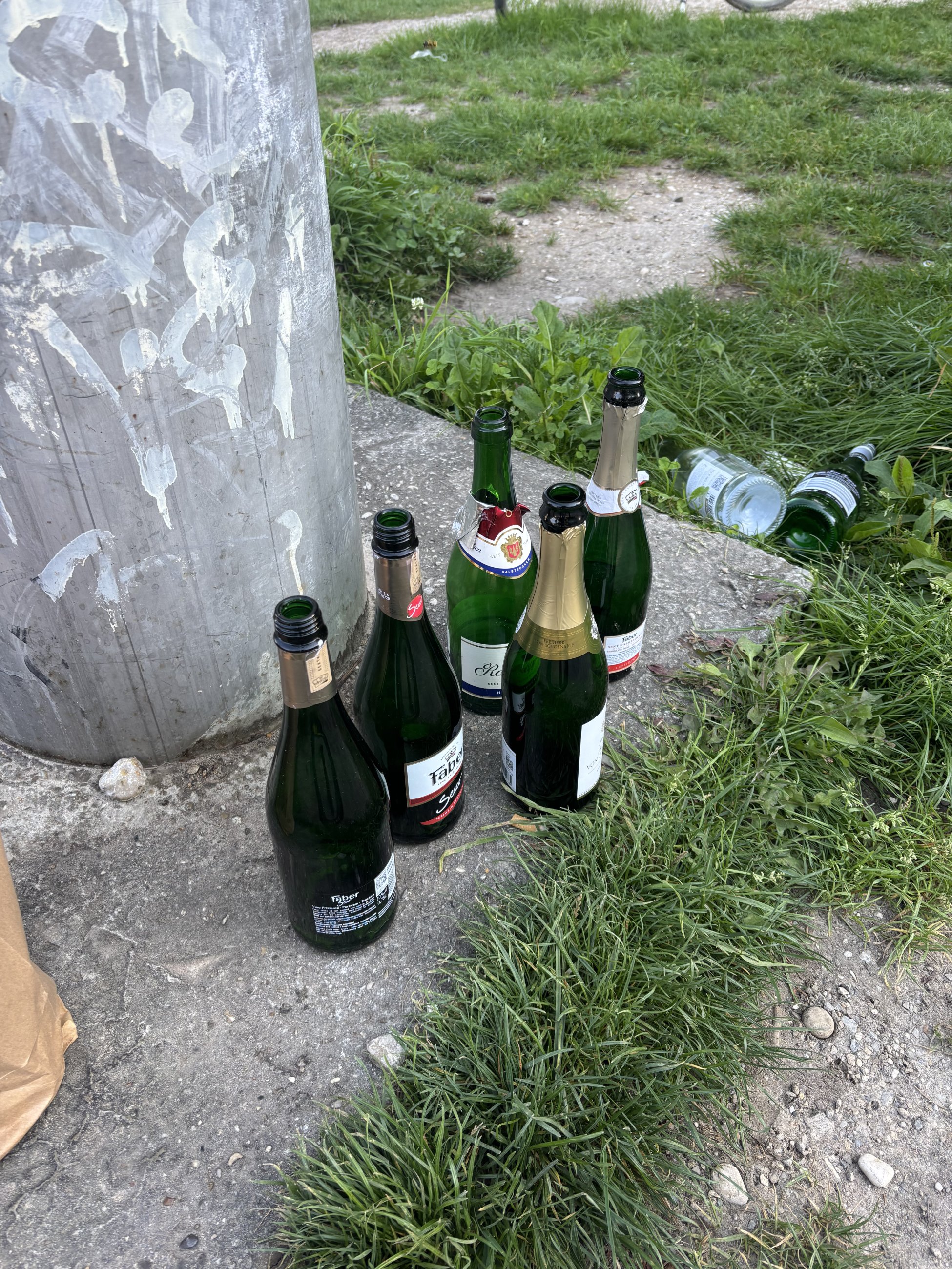 IMG_6247.jpeg