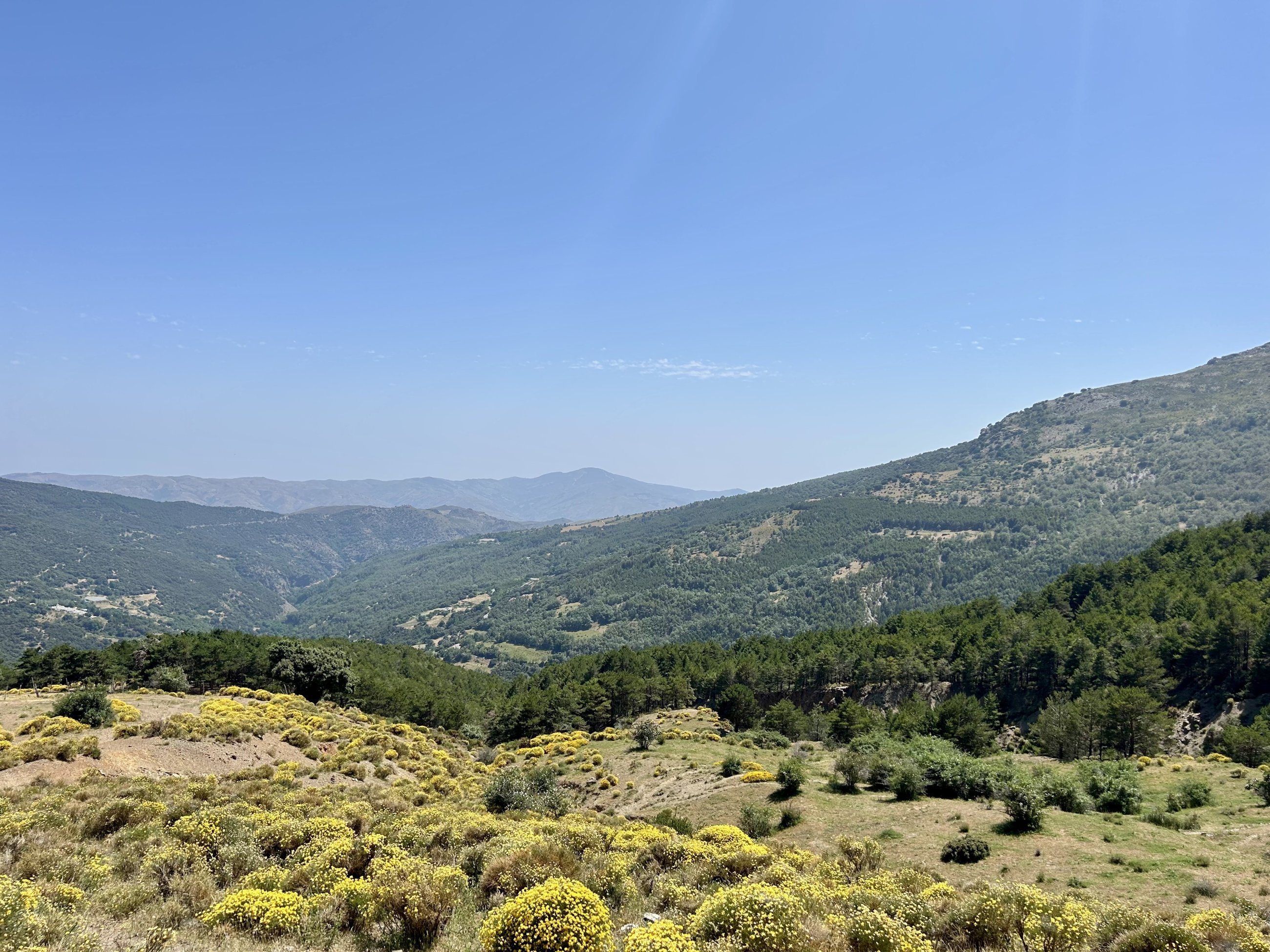 IMG_6301.jpeg
