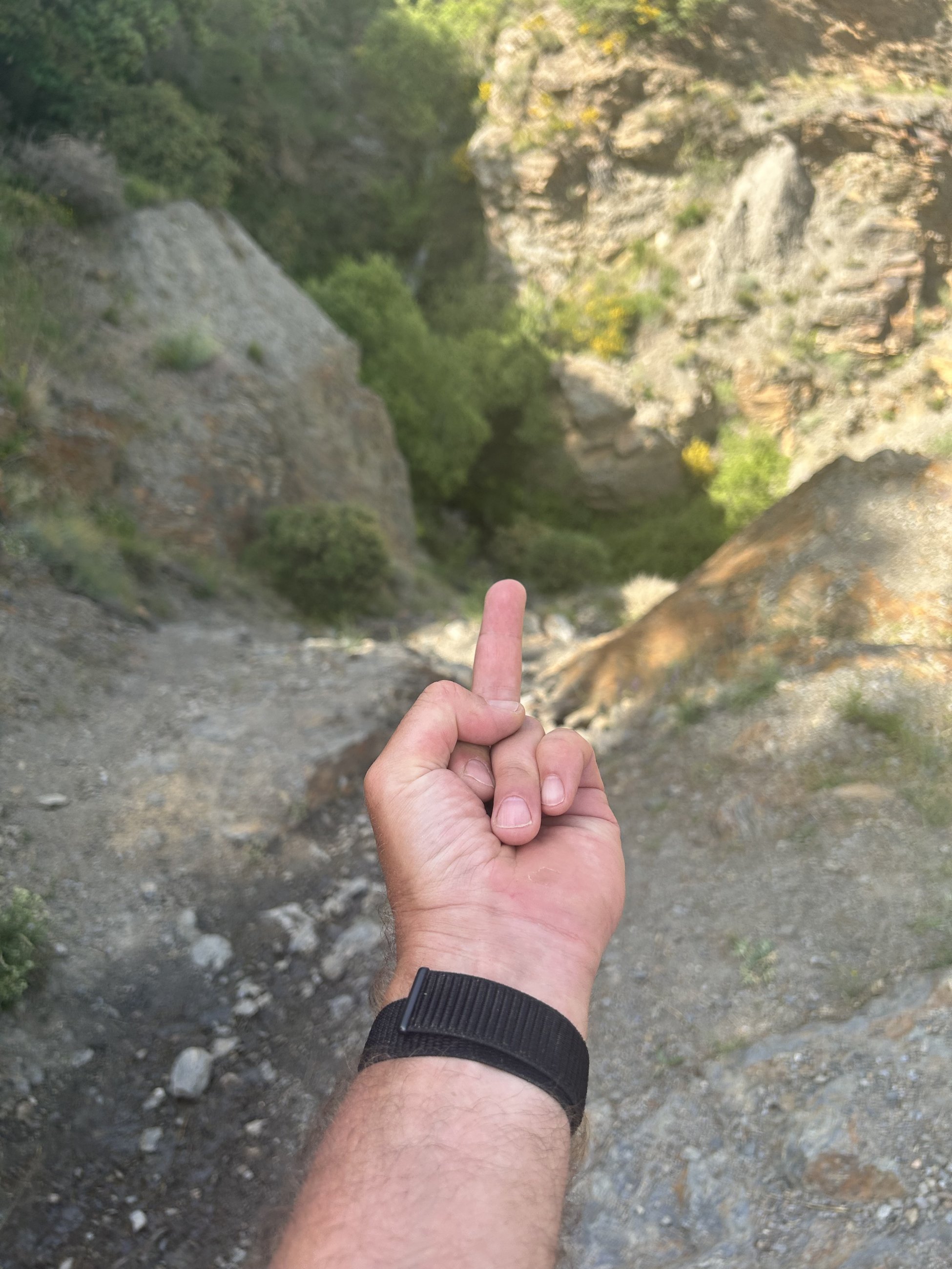 IMG_6312.jpeg