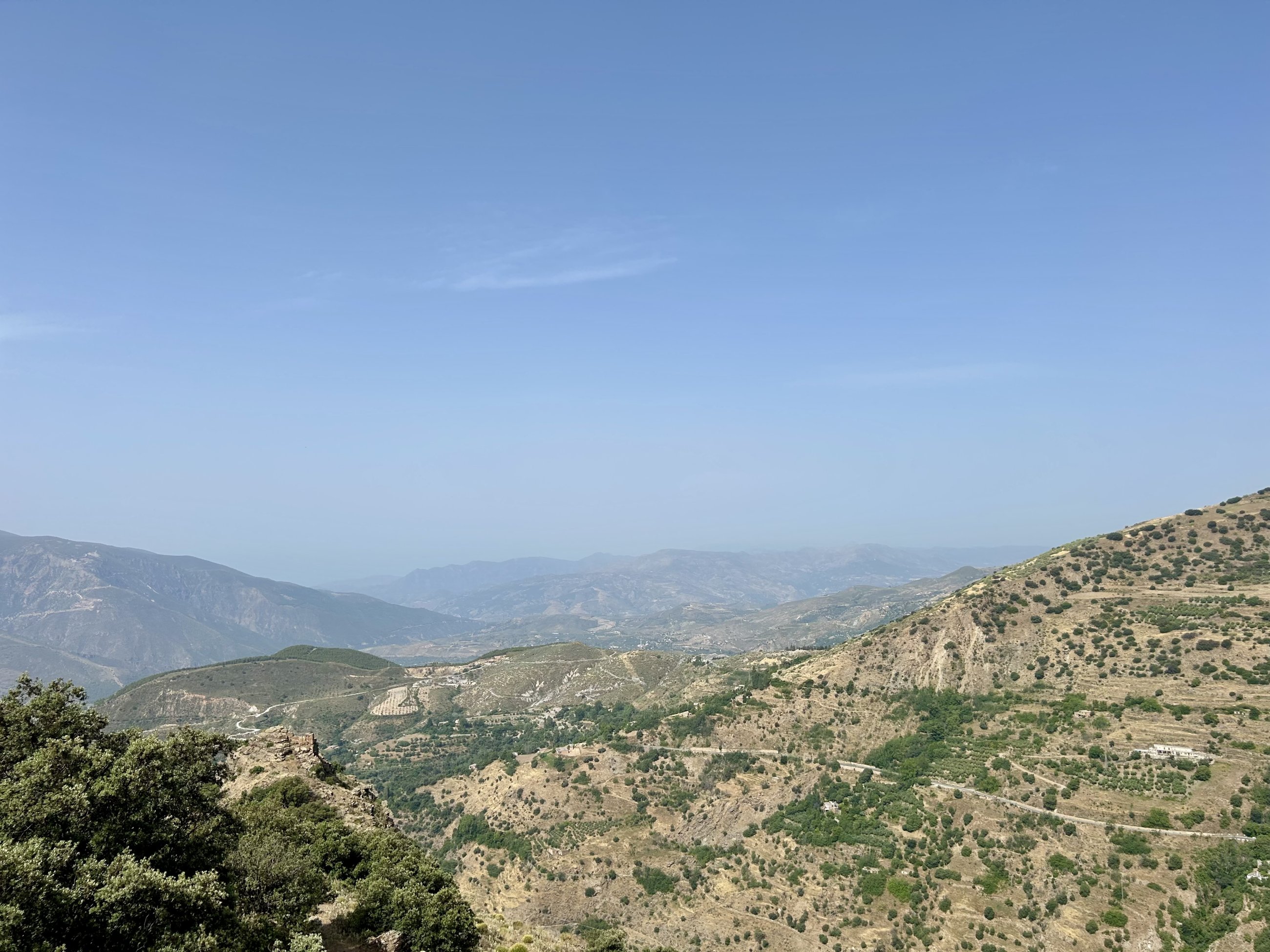IMG_6323.jpeg