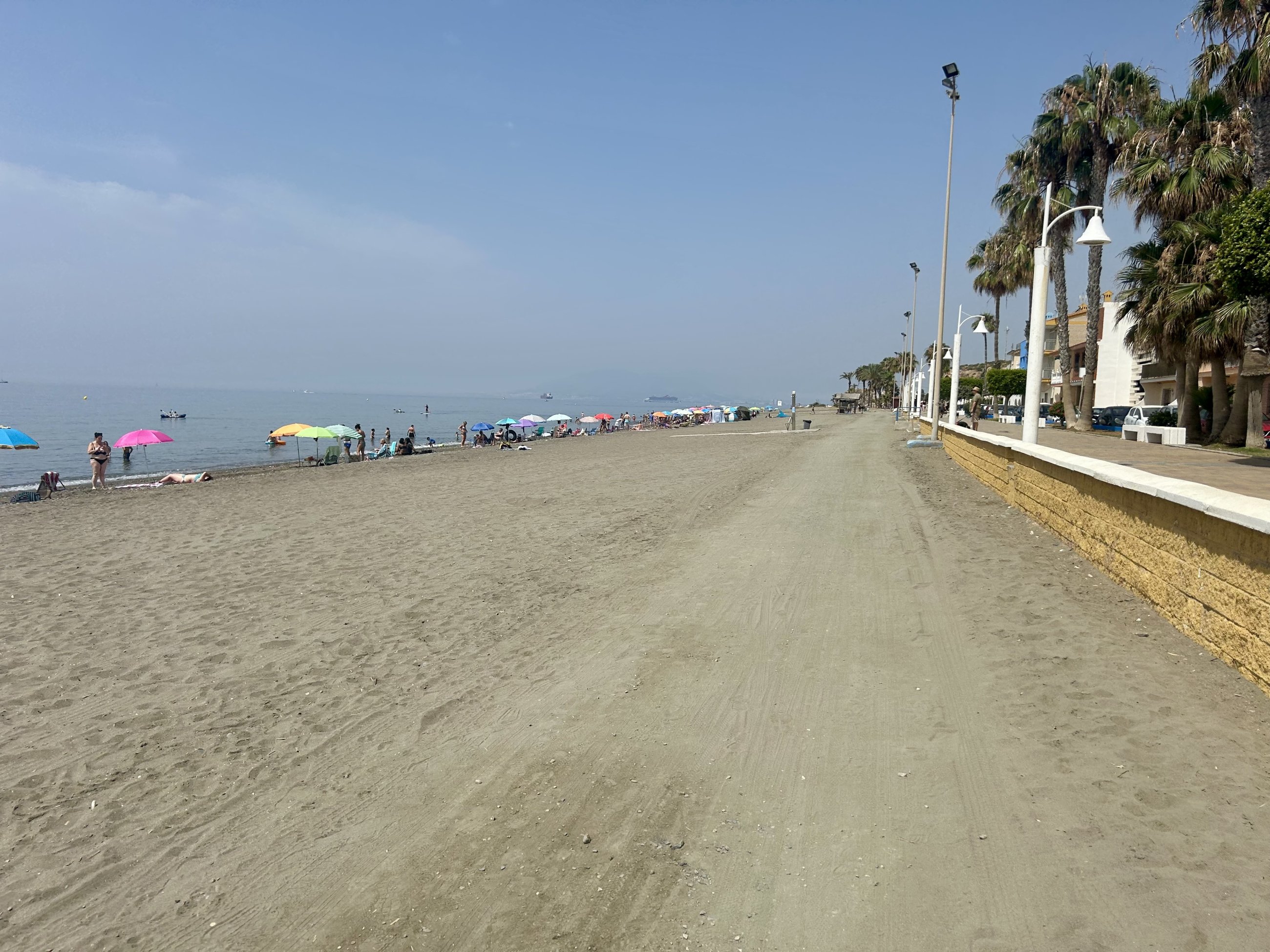 IMG_6377.jpeg