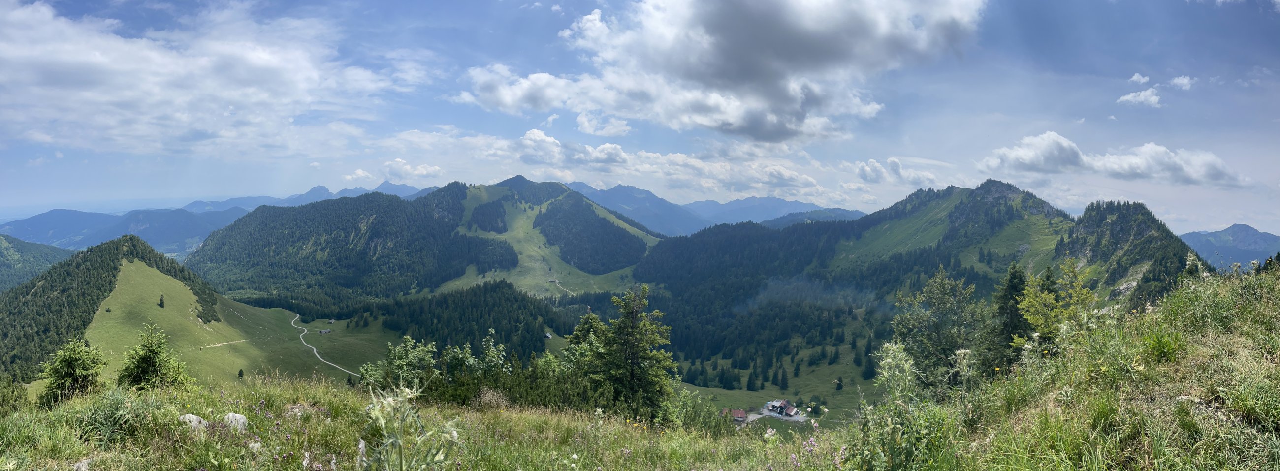 IMG_6454.jpeg