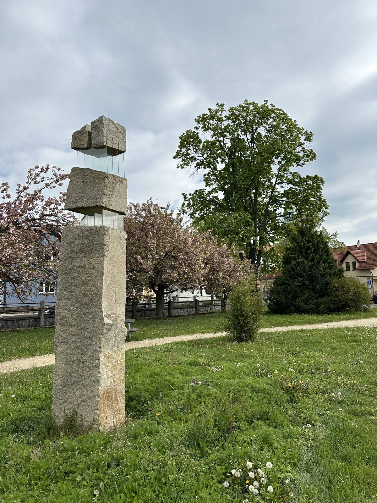 IMG_6479.jpeg