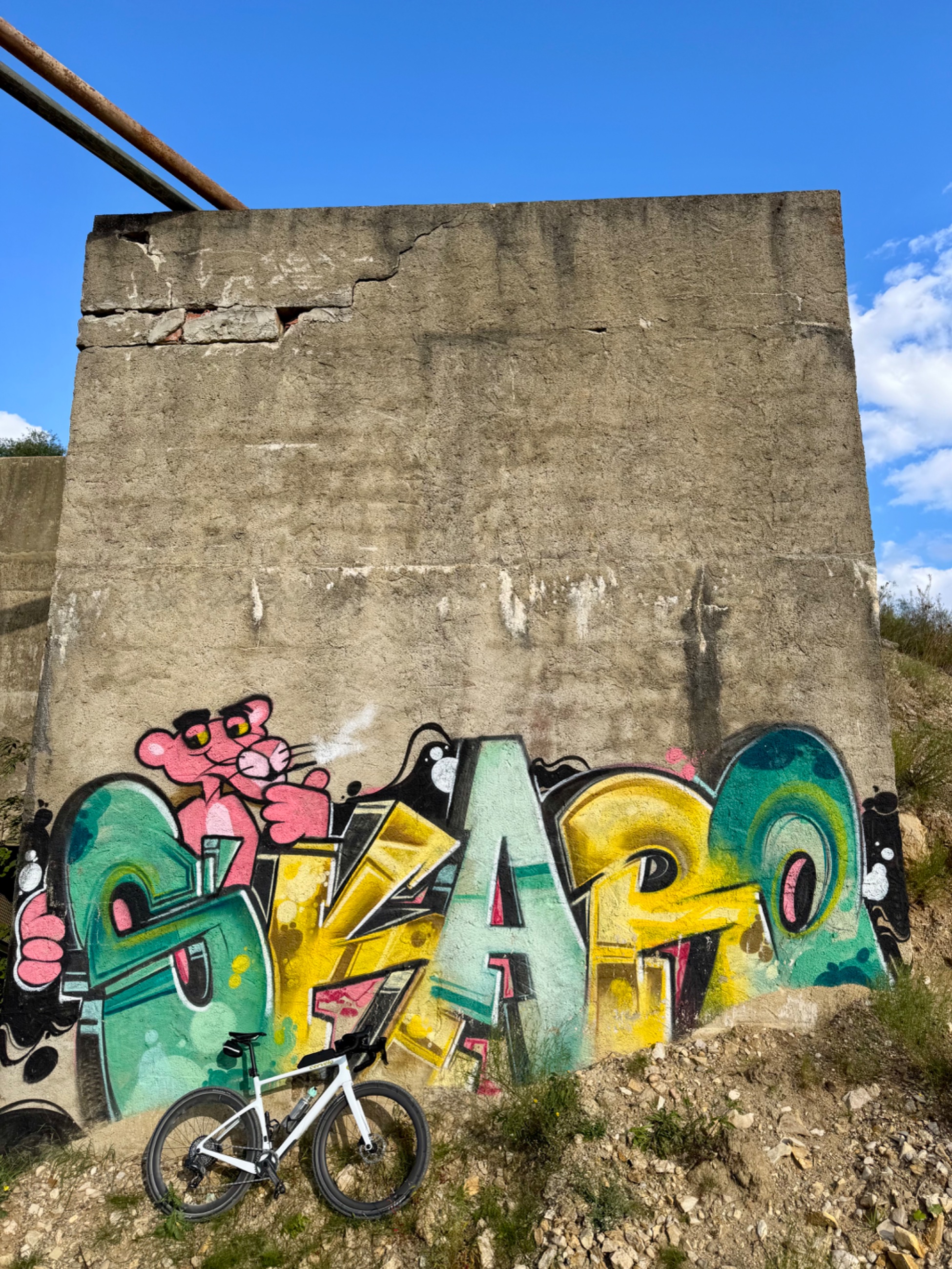IMG_6589.jpeg