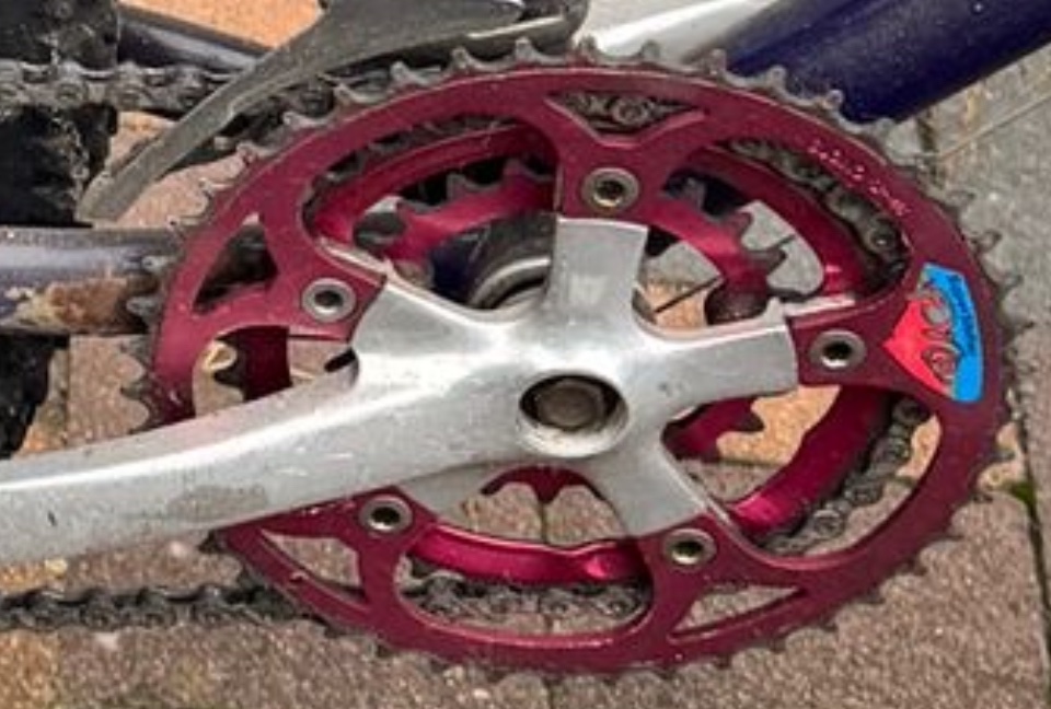IMG_6858.jpeg