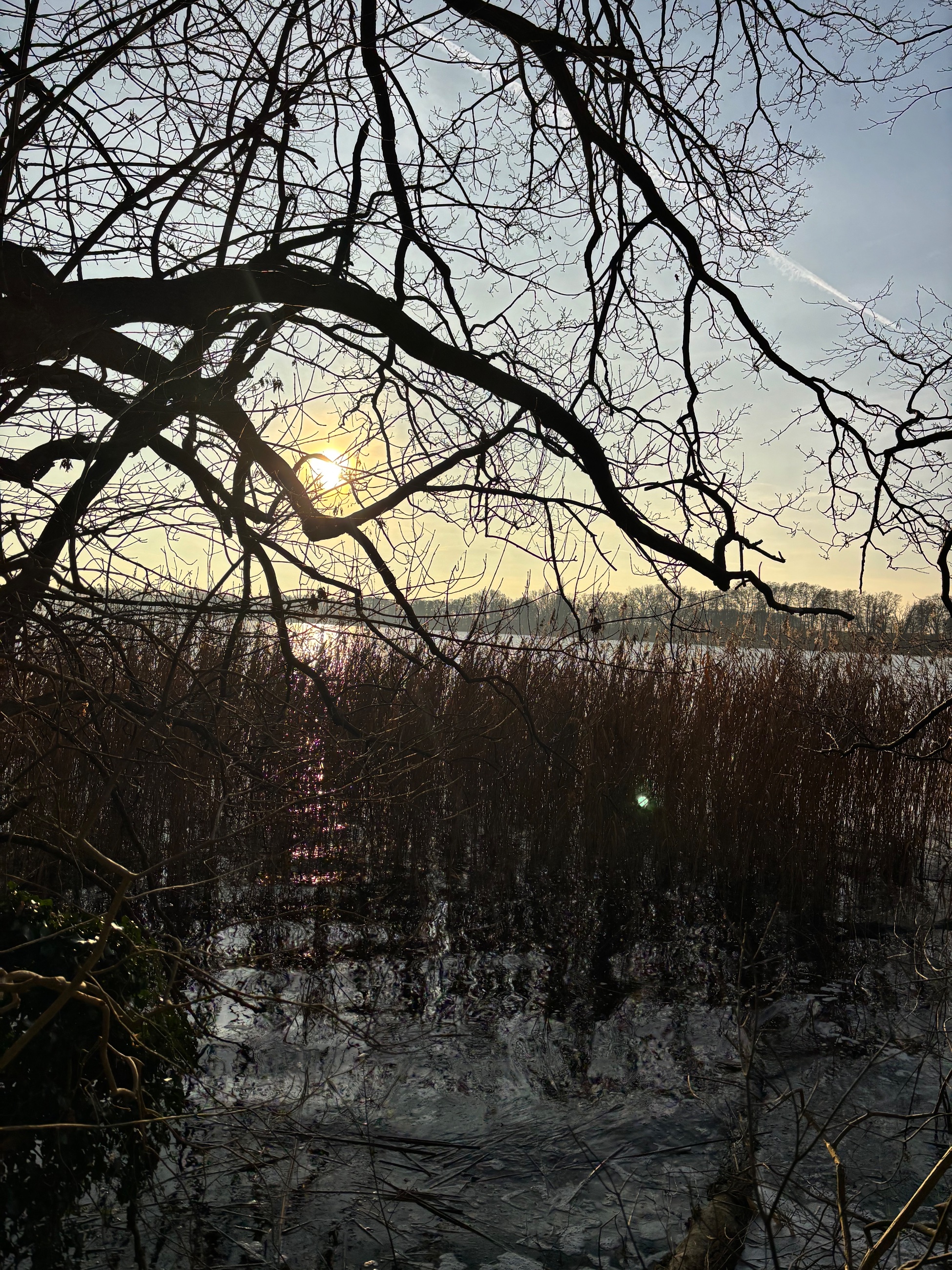 IMG_6970.jpeg