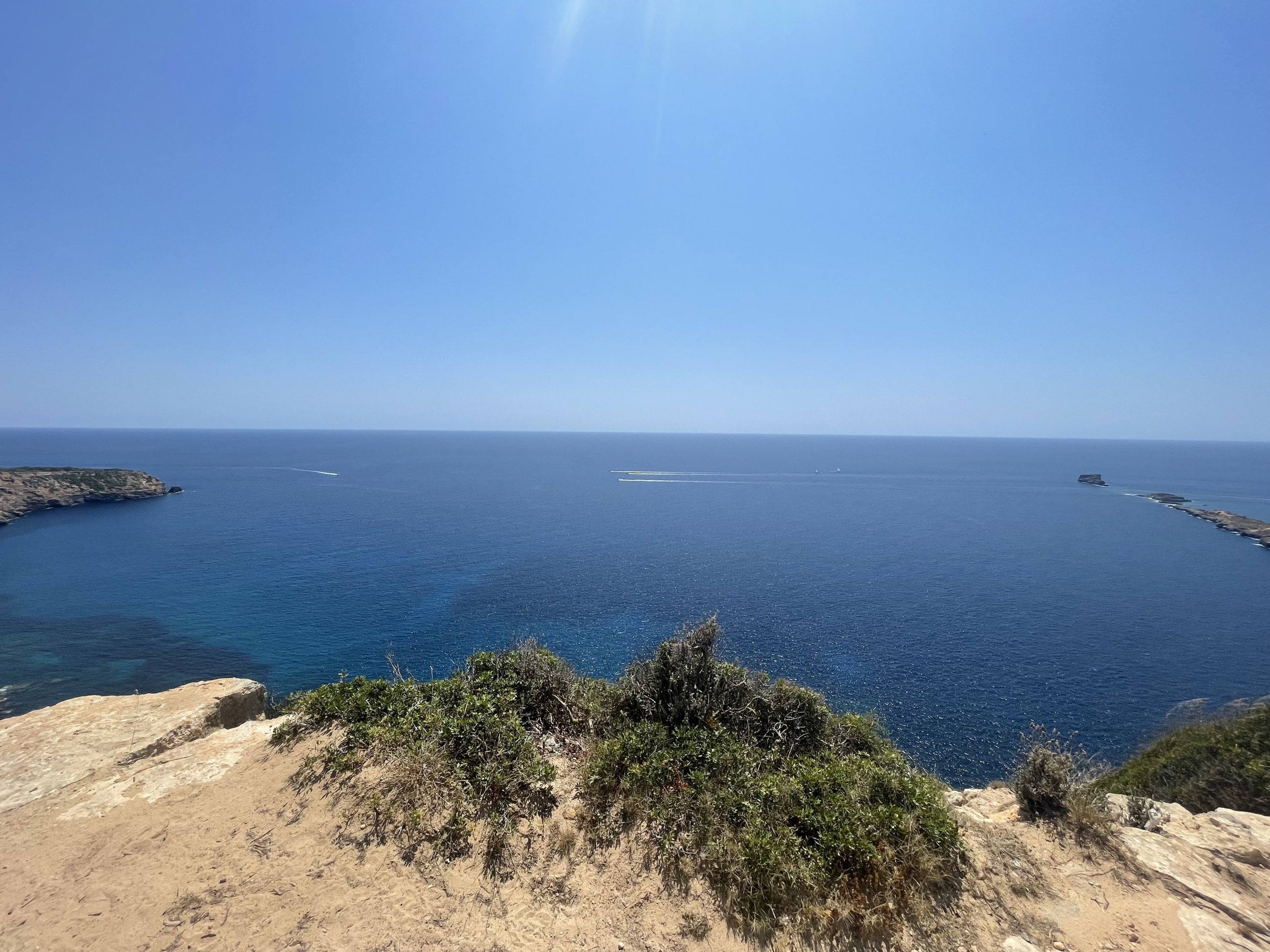 IMG_6988.jpeg