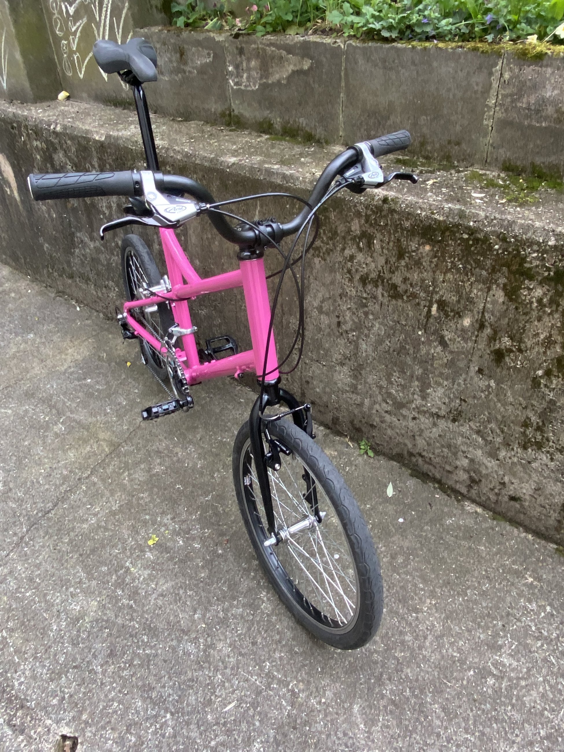 IMG_7004.jpeg