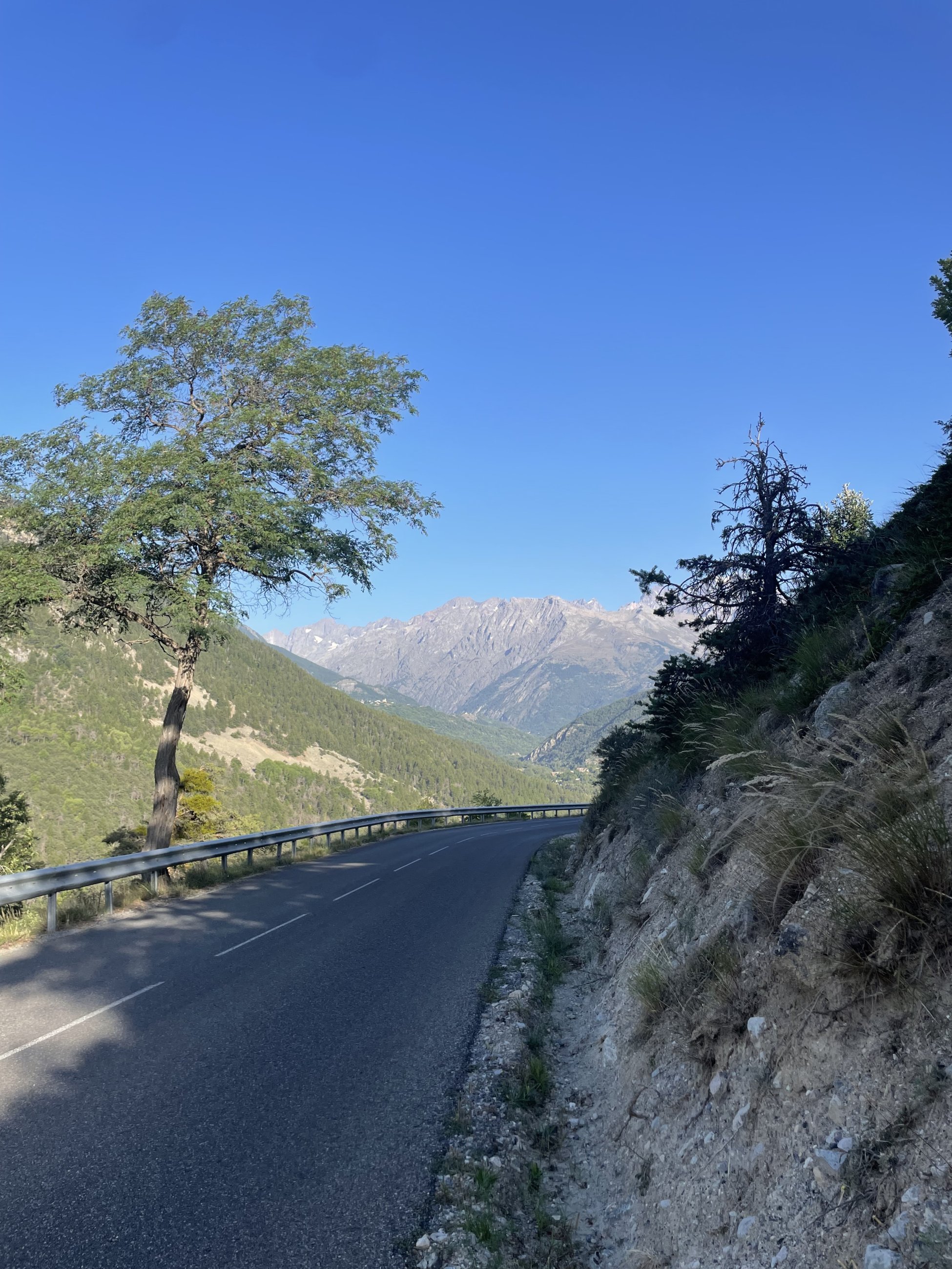 IMG_7008.jpeg