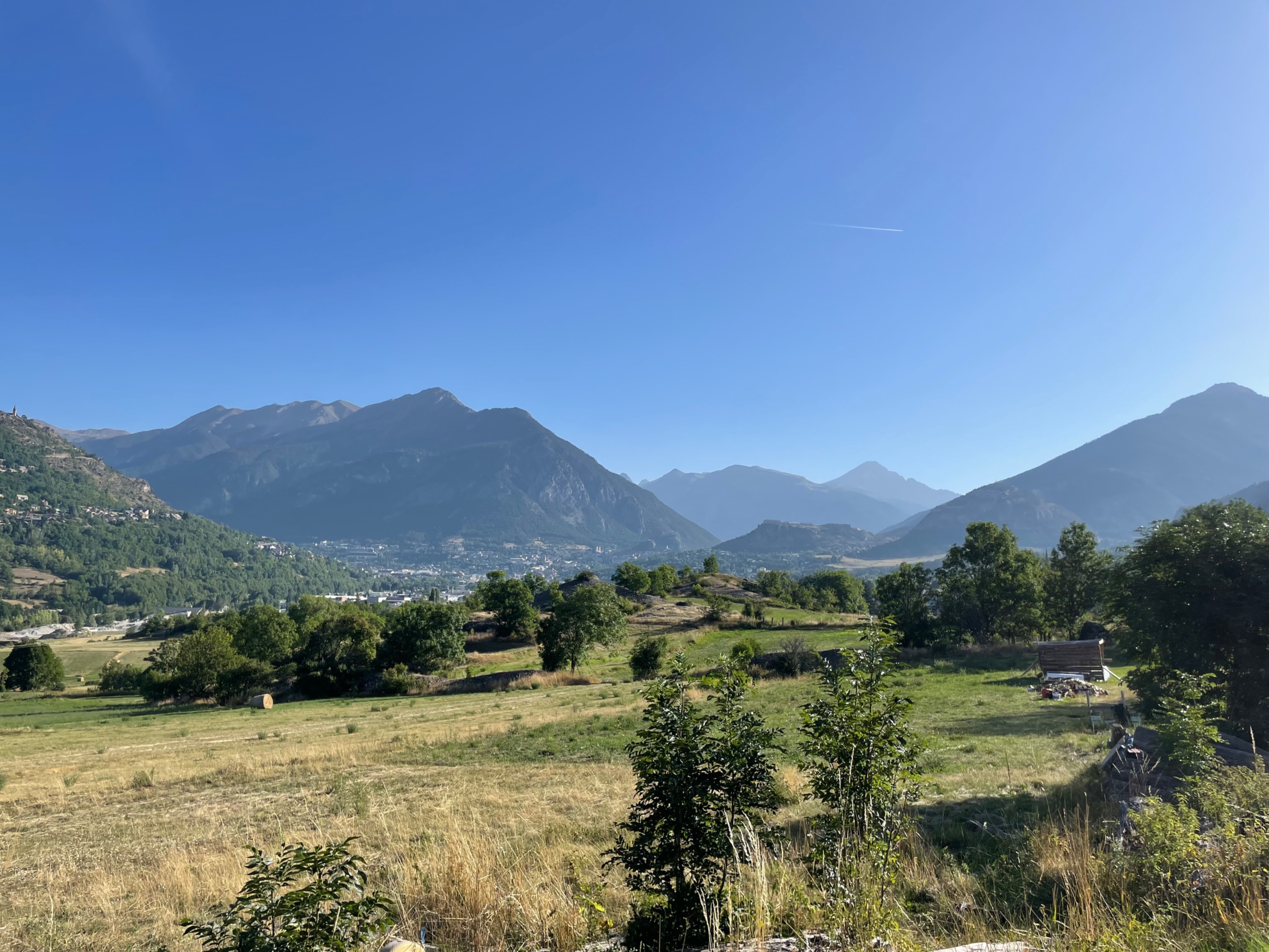 IMG_7010.jpeg