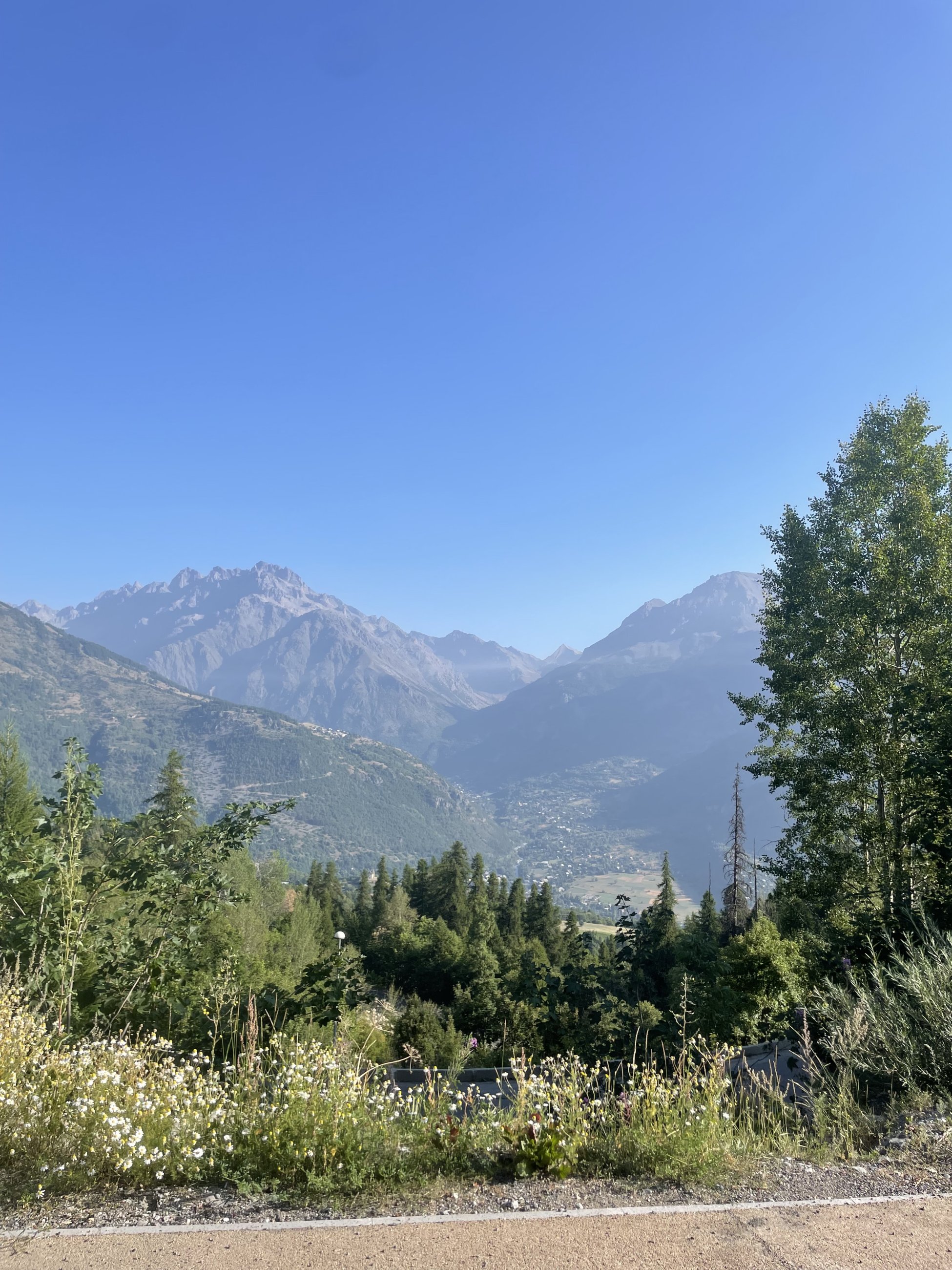 IMG_7023.jpeg