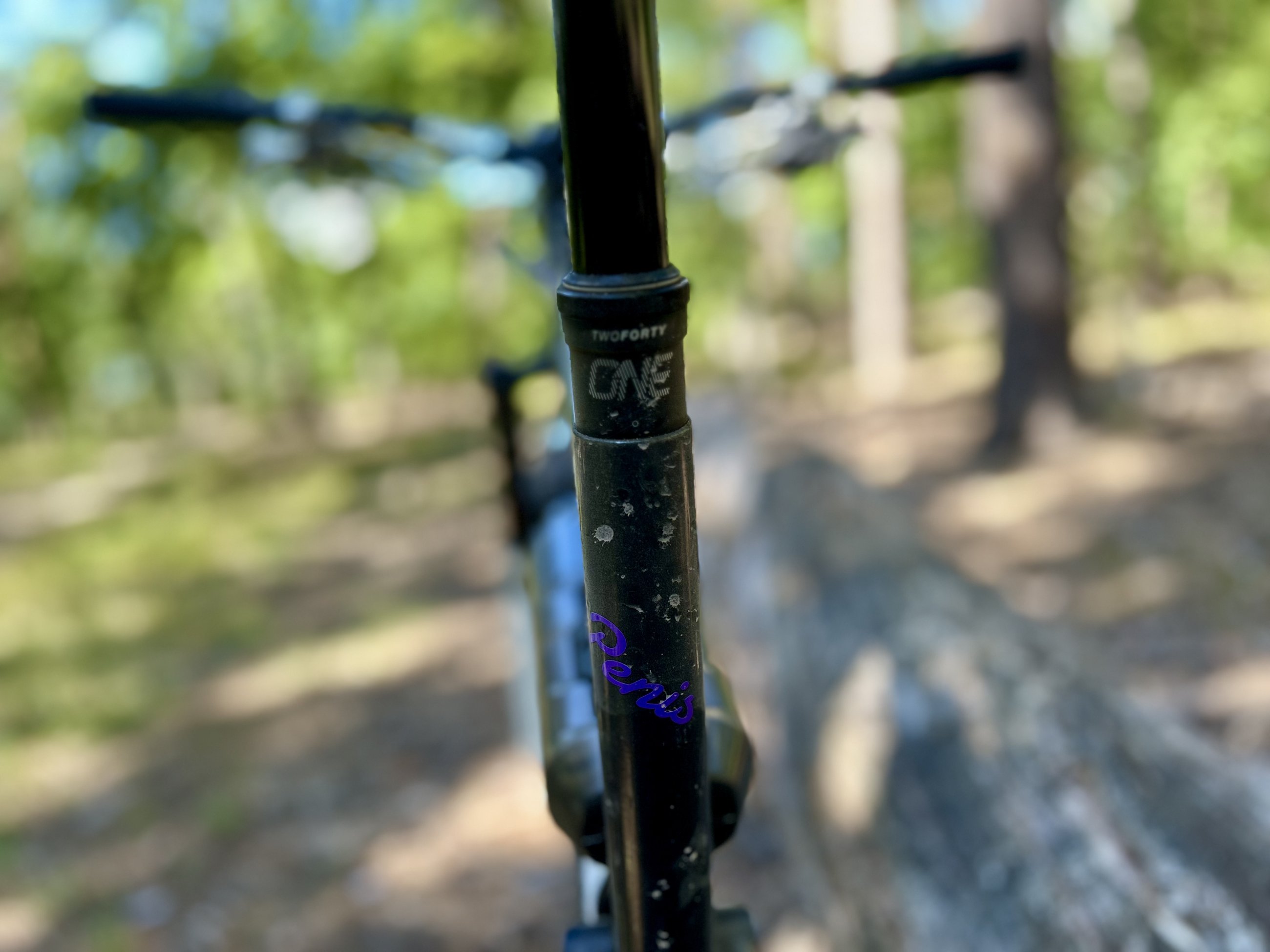 IMG_7029.jpeg