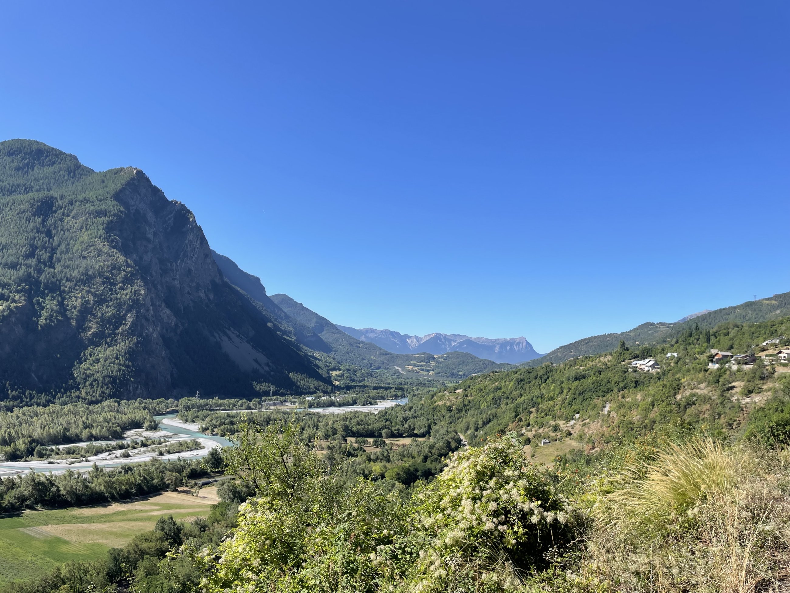 IMG_7066.jpeg