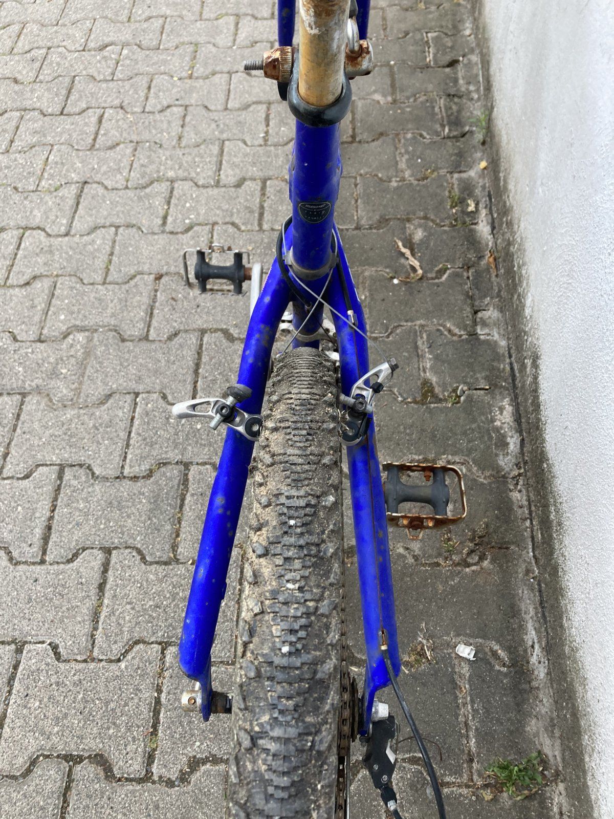 IMG_7114.jpeg