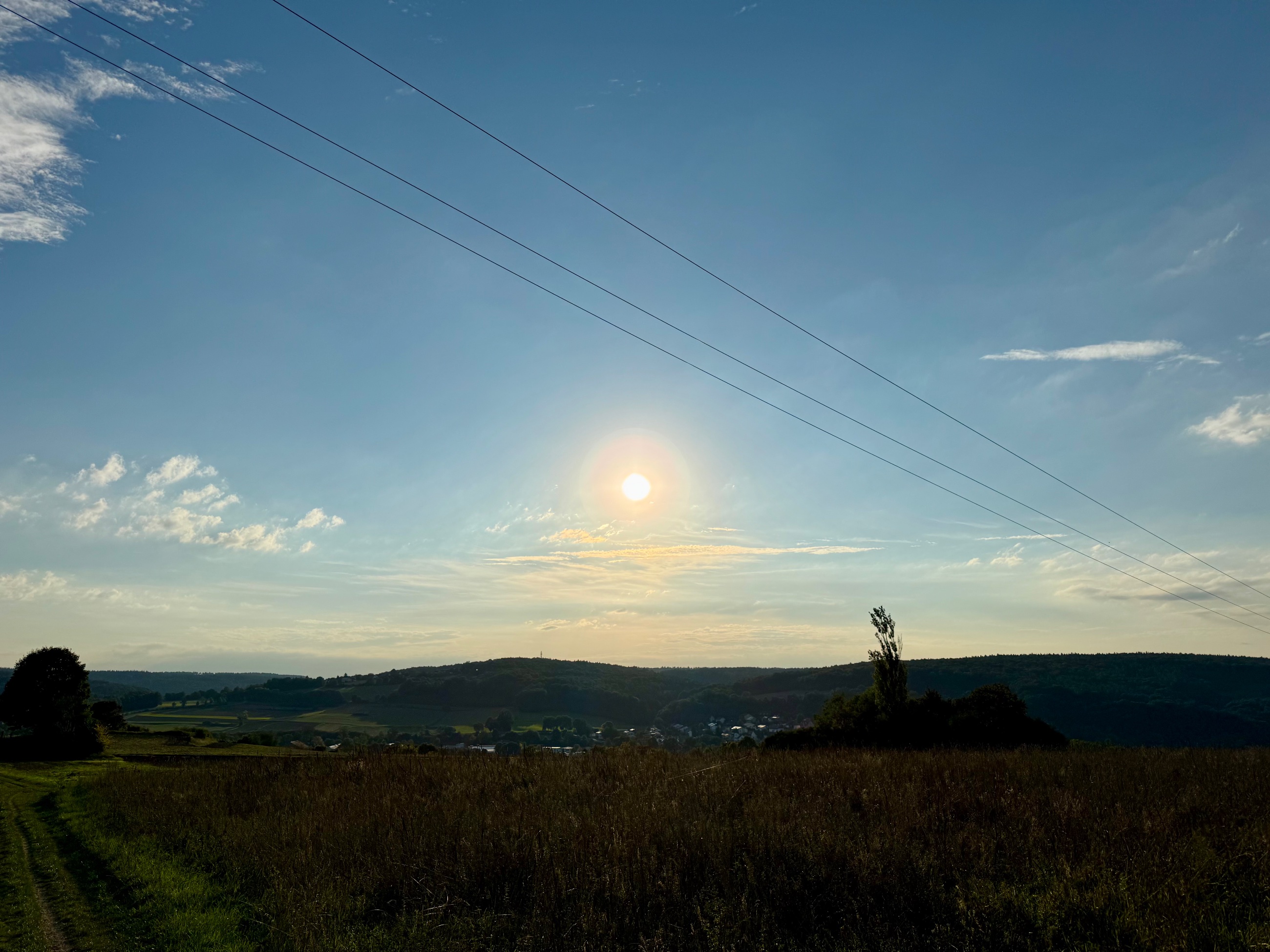 IMG_7150.jpeg
