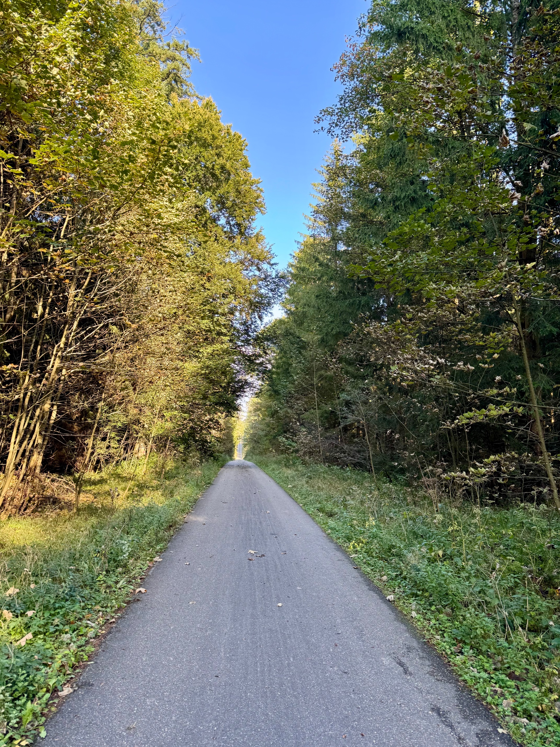IMG_7248.jpeg