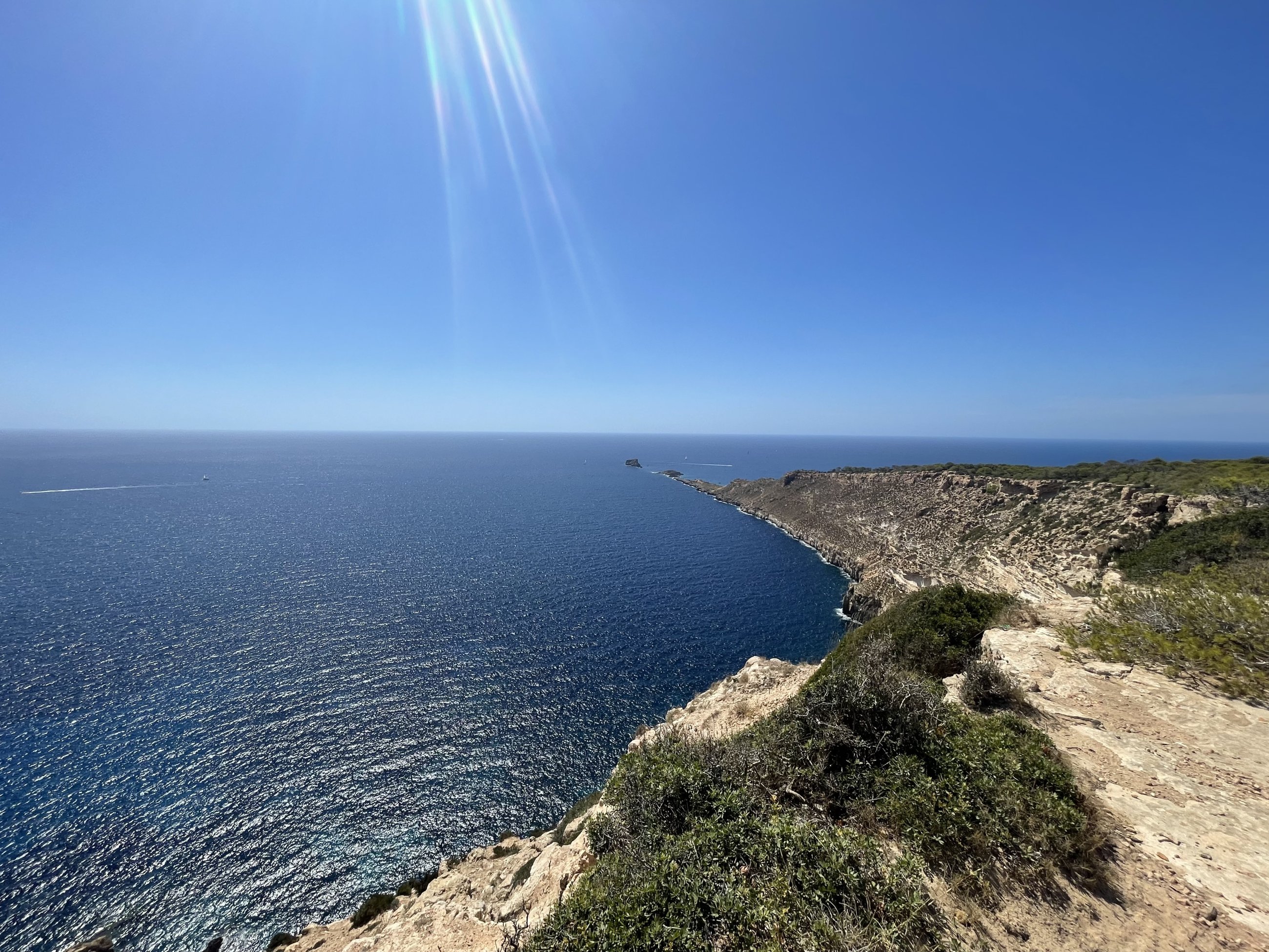 IMG_7255.jpeg