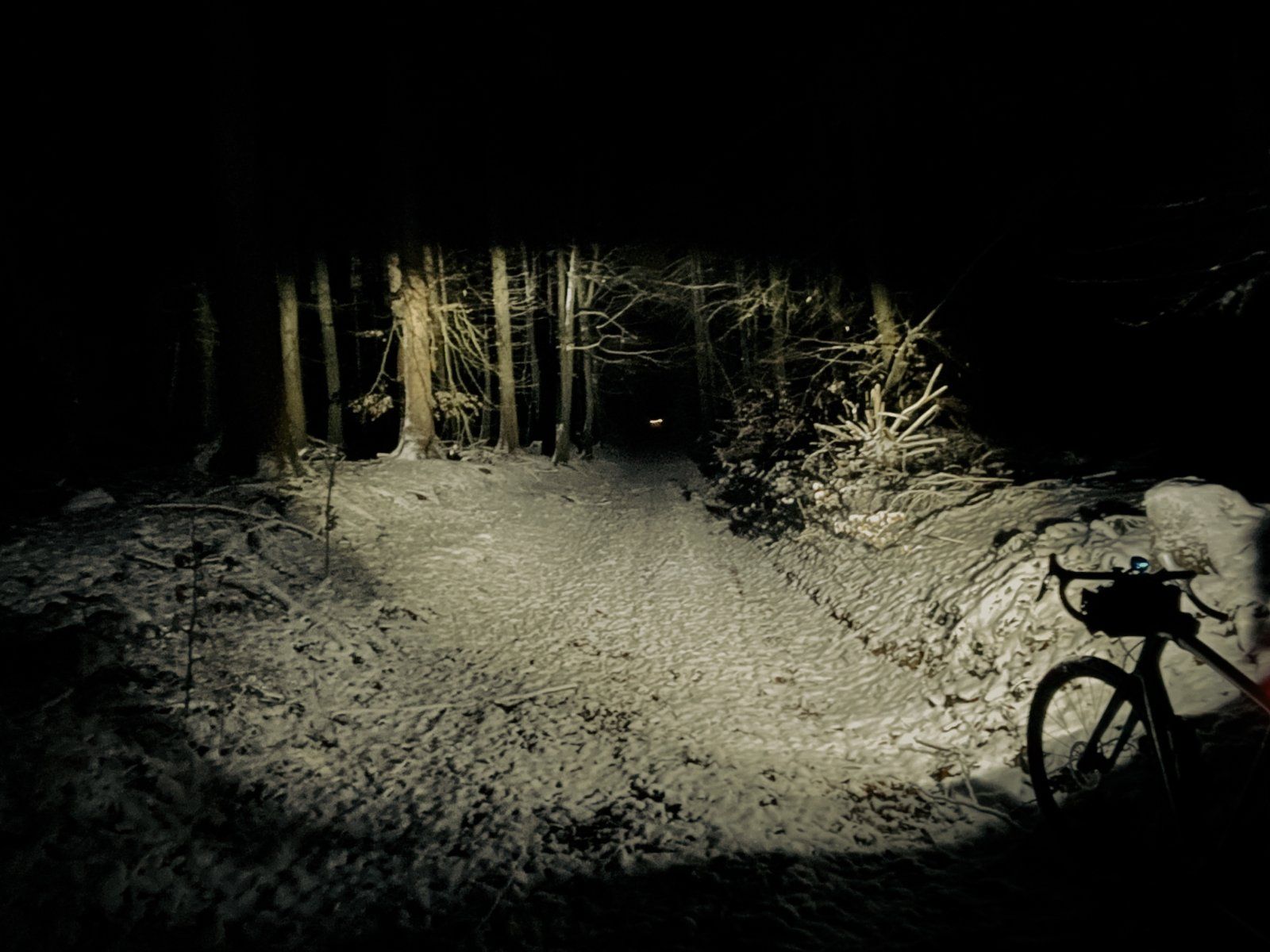 IMG_7369.jpeg
