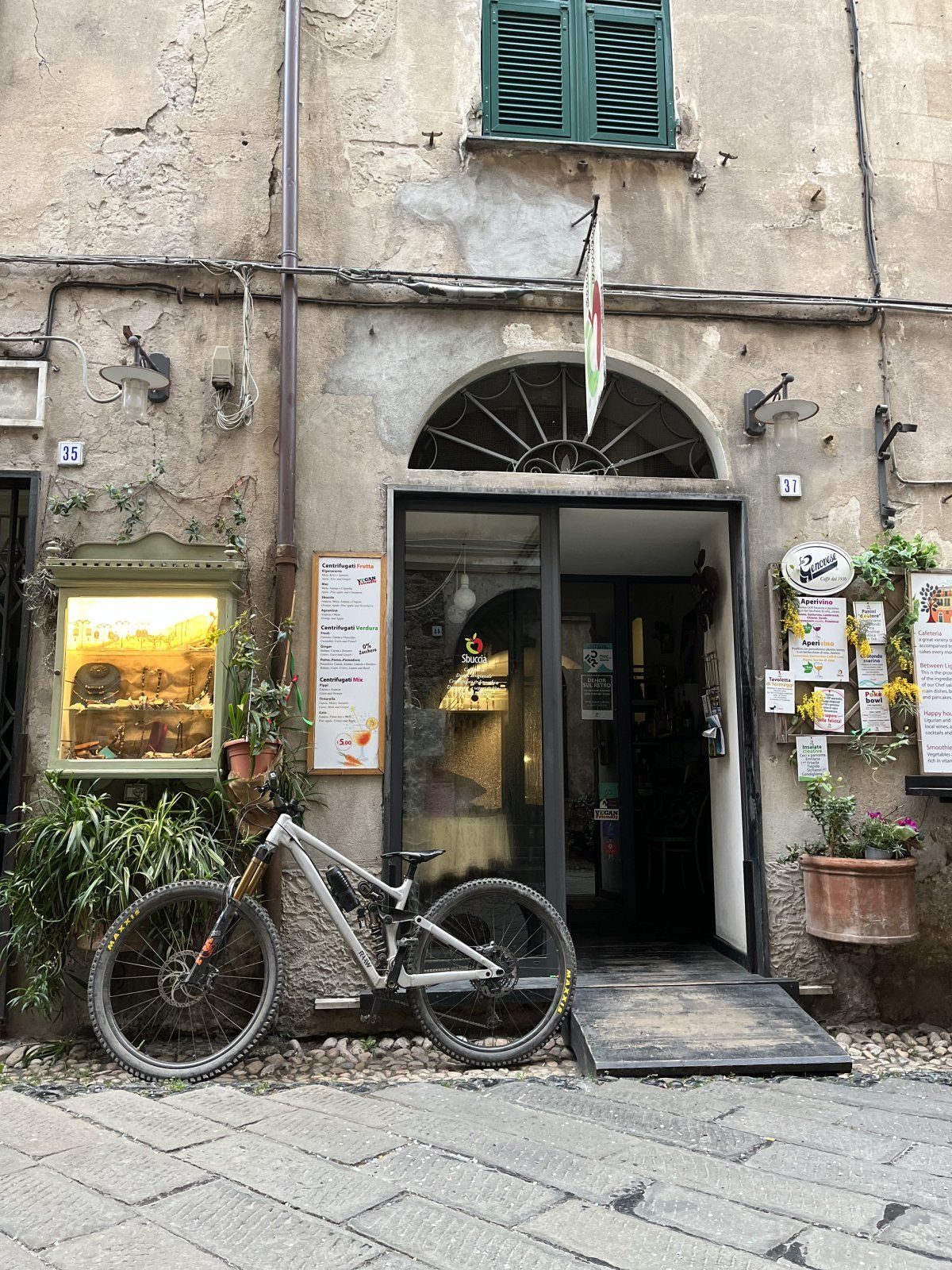 IMG_7536.jpeg
