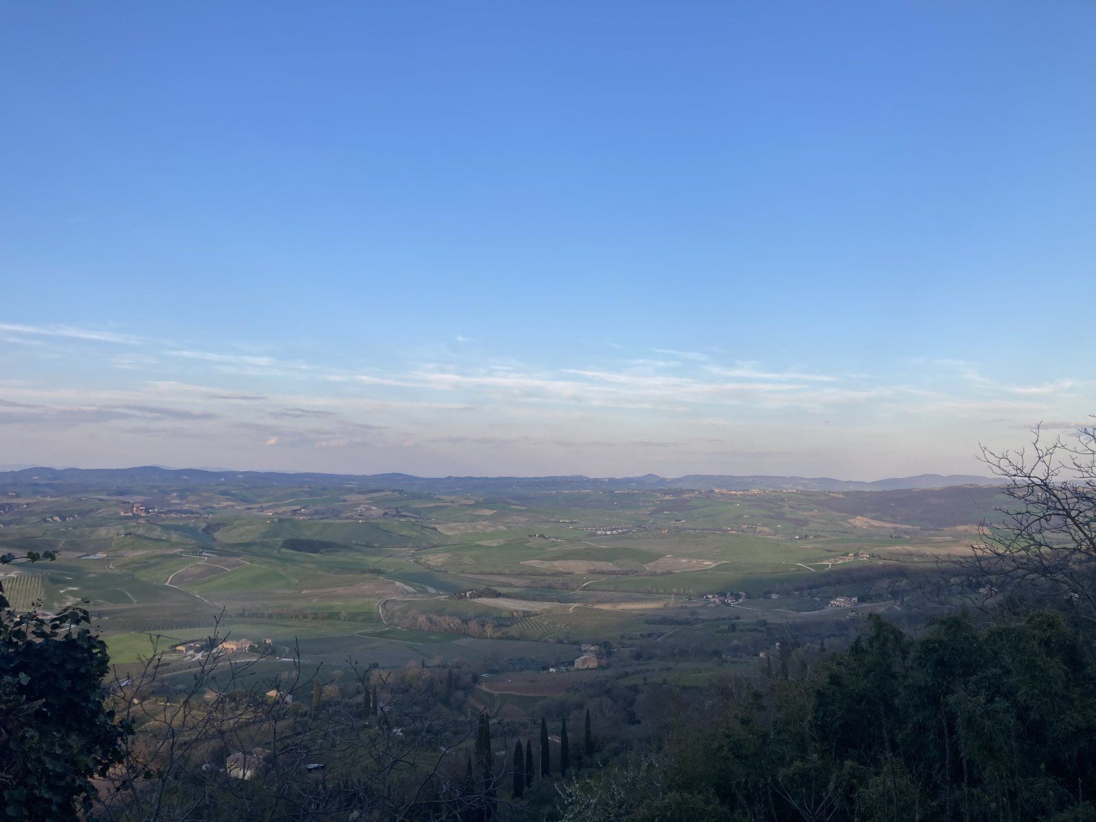 IMG_7682.jpeg