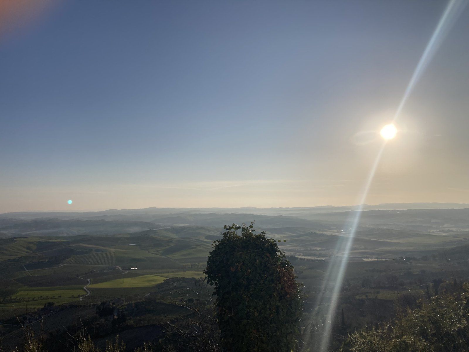 IMG_7684.jpeg