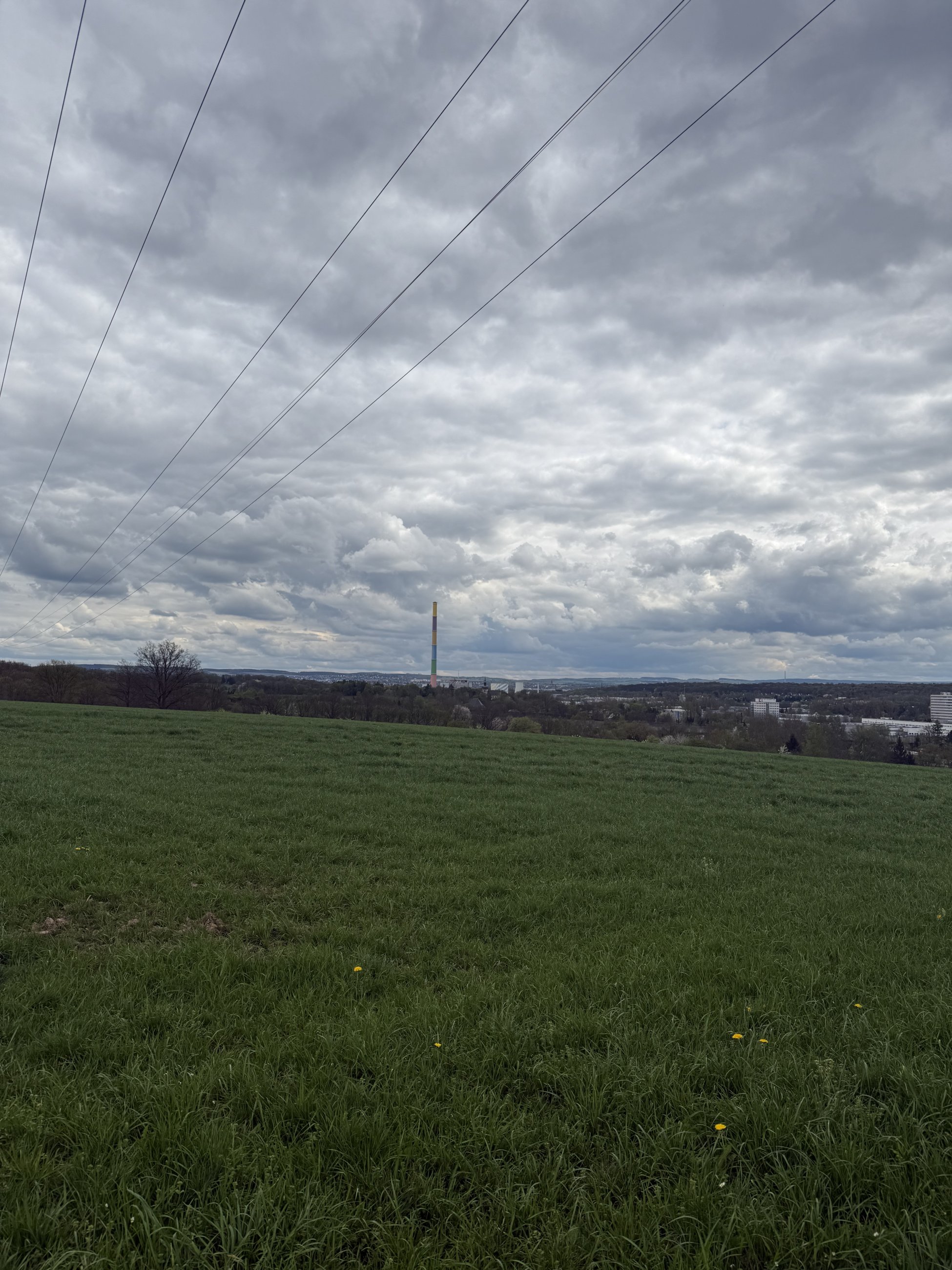 IMG_7724.jpeg
