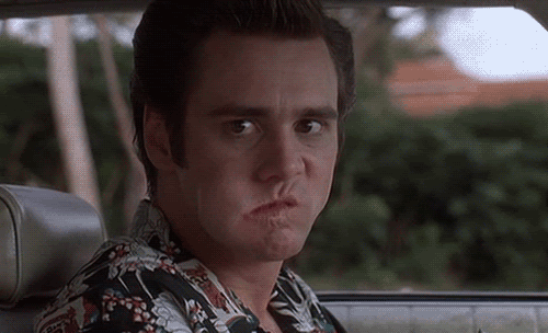 IMG_7732.gif