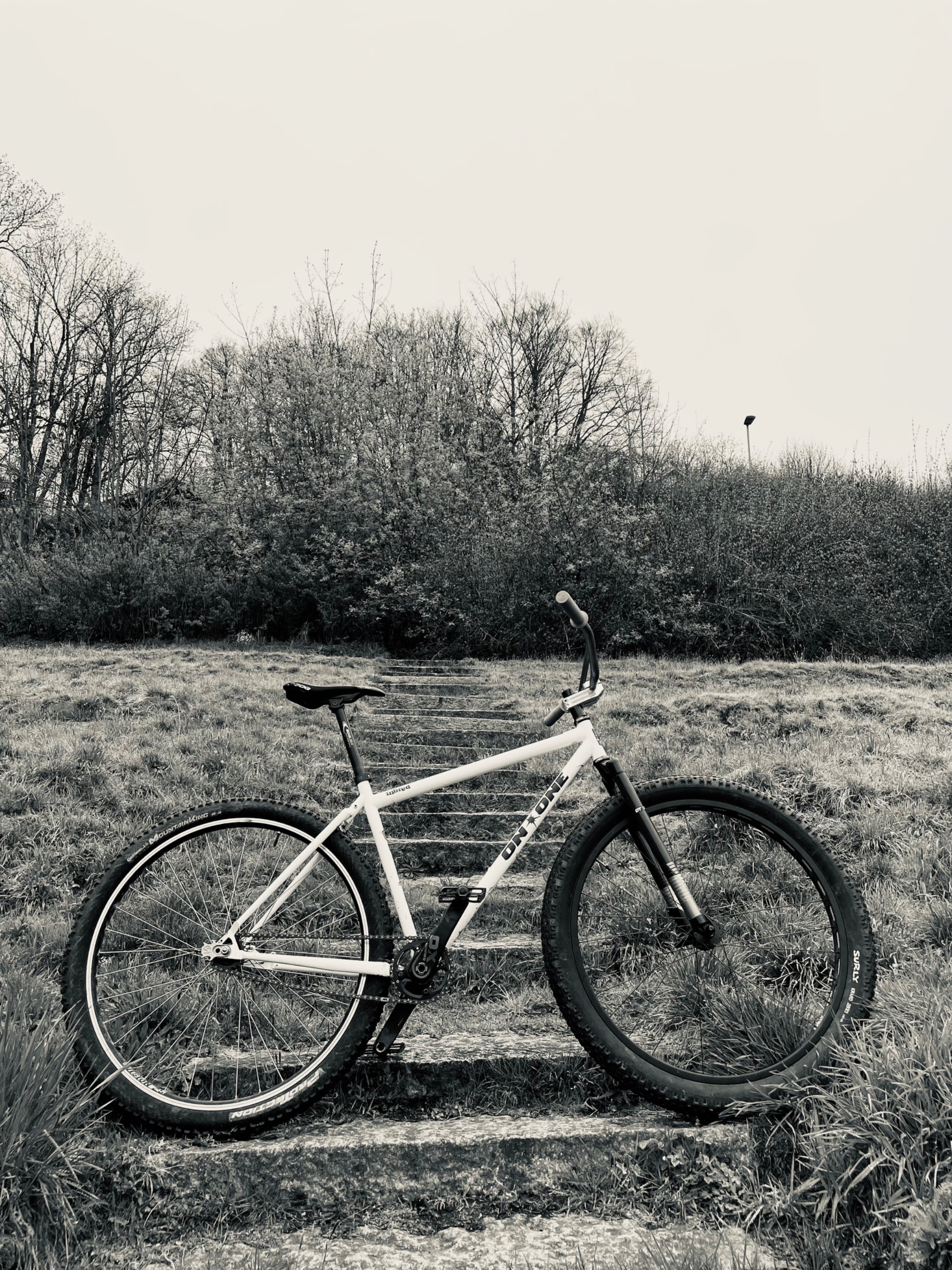IMG_7765.jpeg