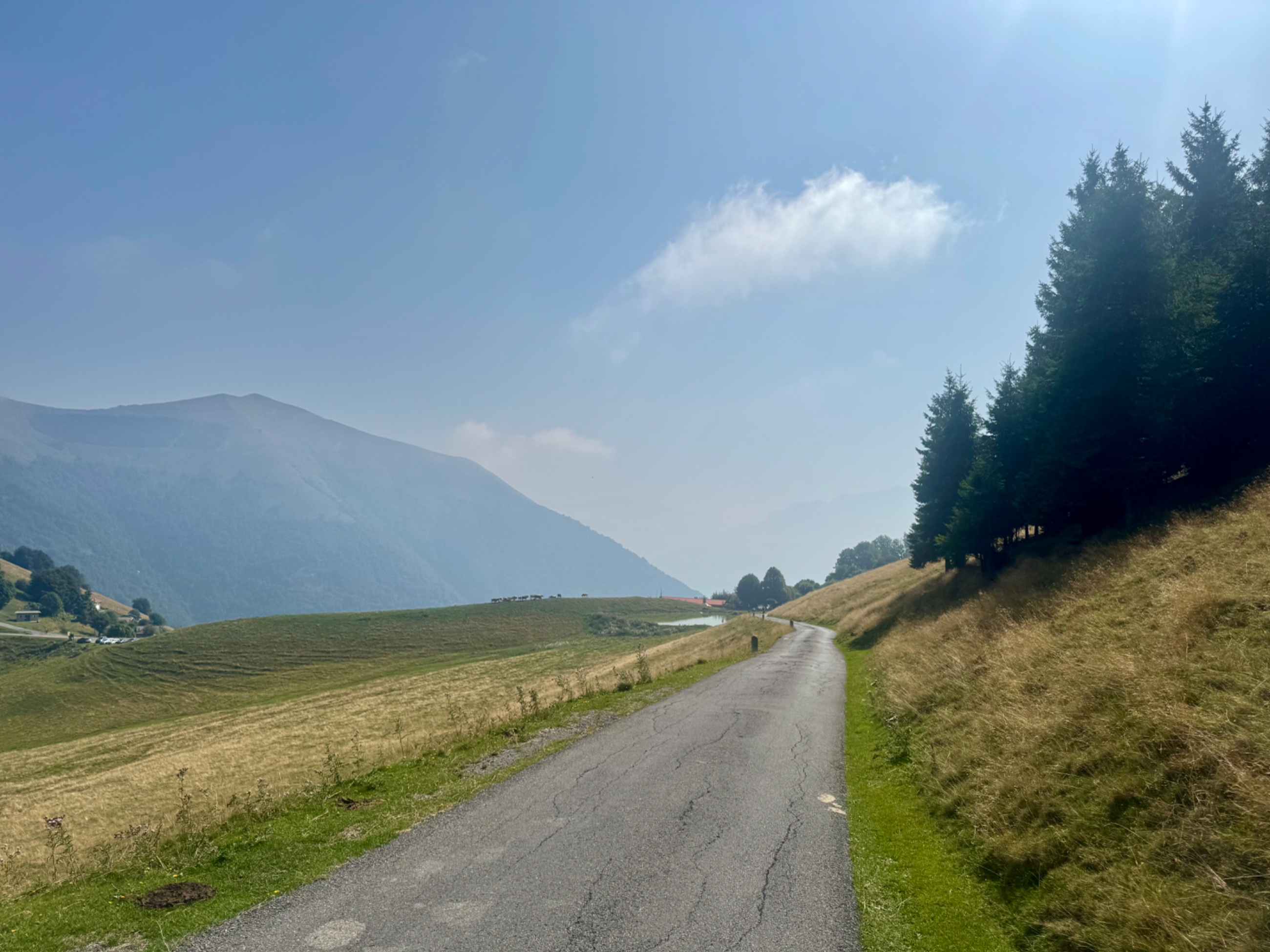 IMG_7813.jpeg
