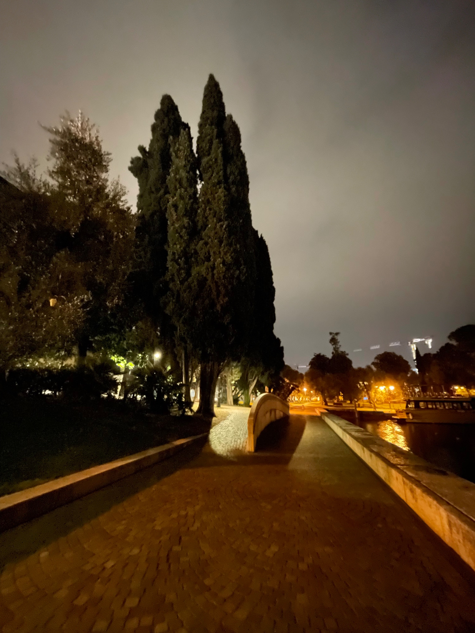 IMG_7951.jpeg