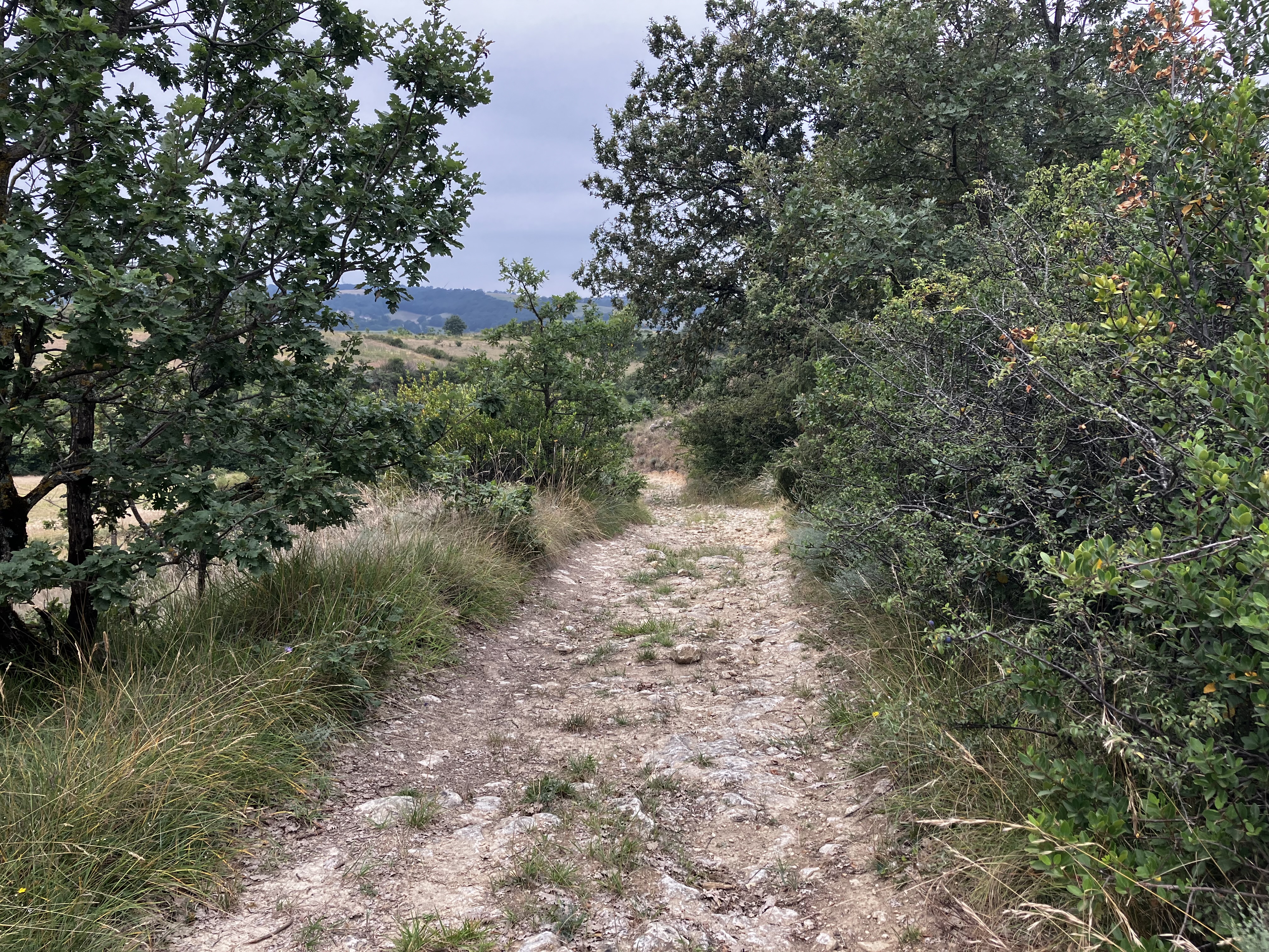 IMG_8084.jpeg