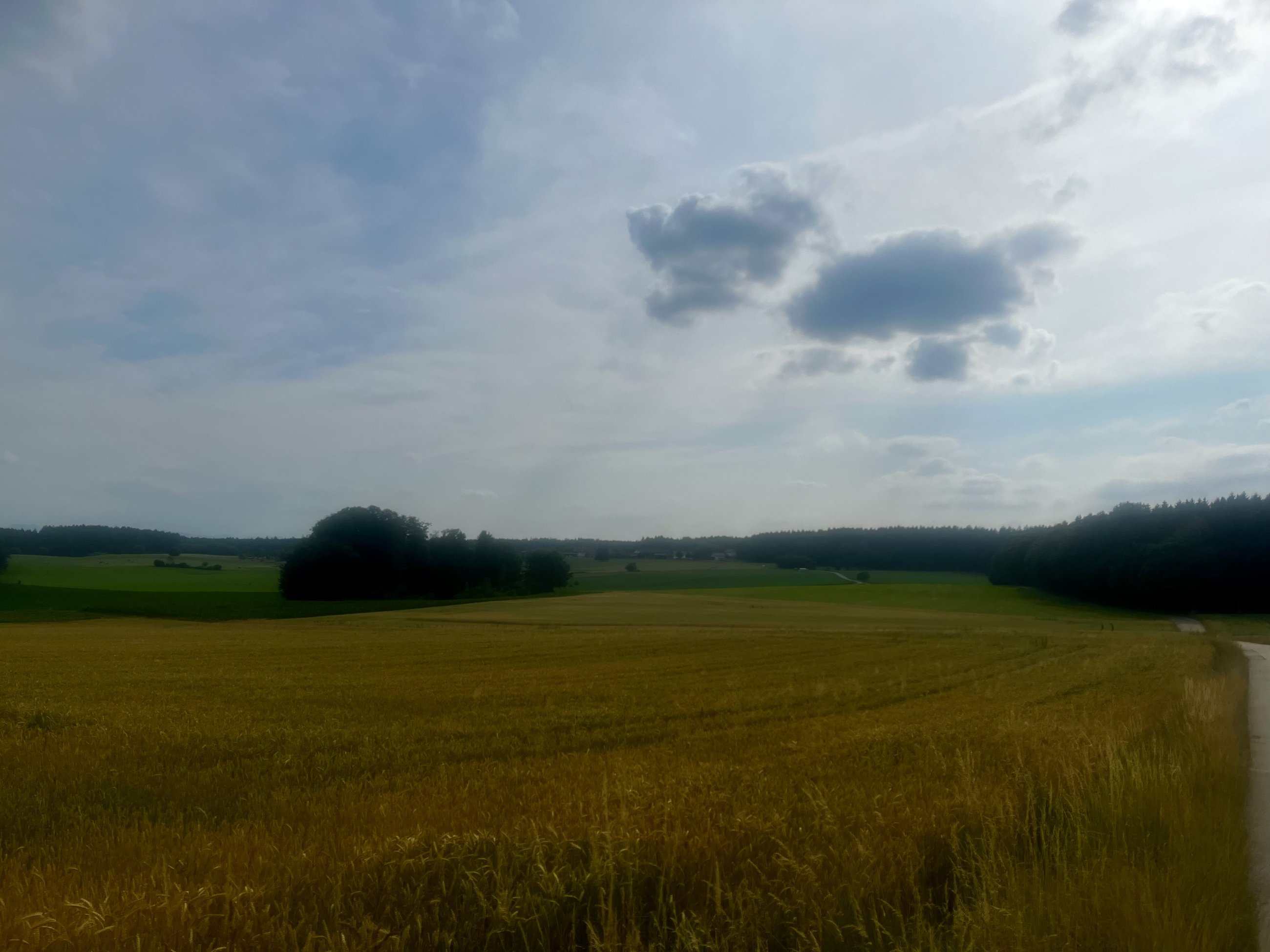 IMG_8102.jpeg