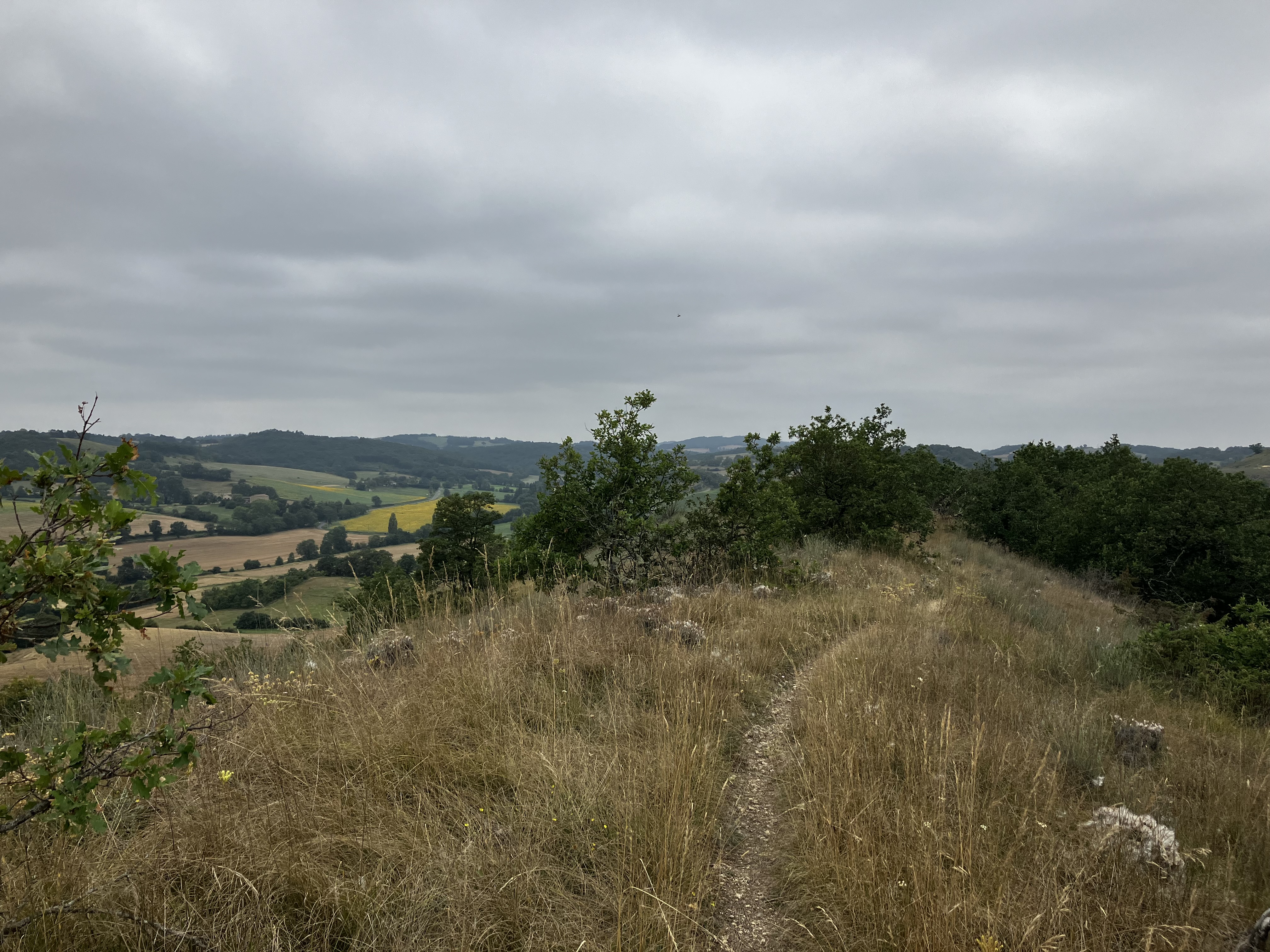 IMG_8116.jpeg