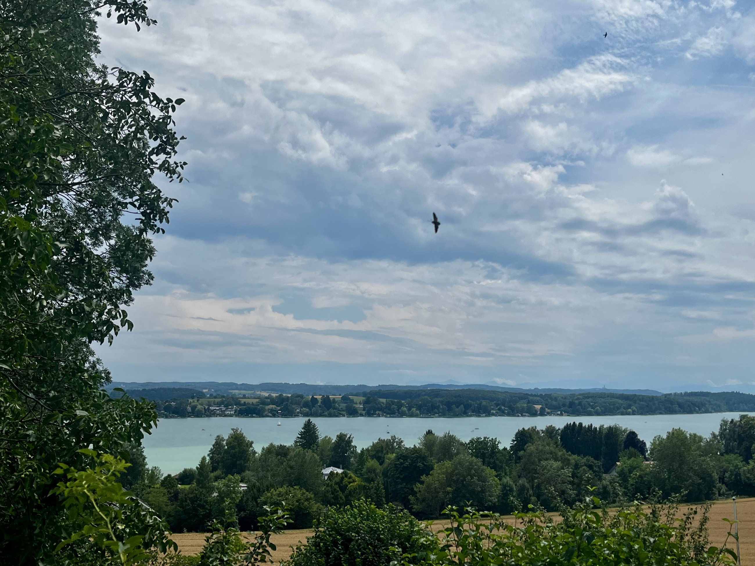 IMG_8122.jpeg