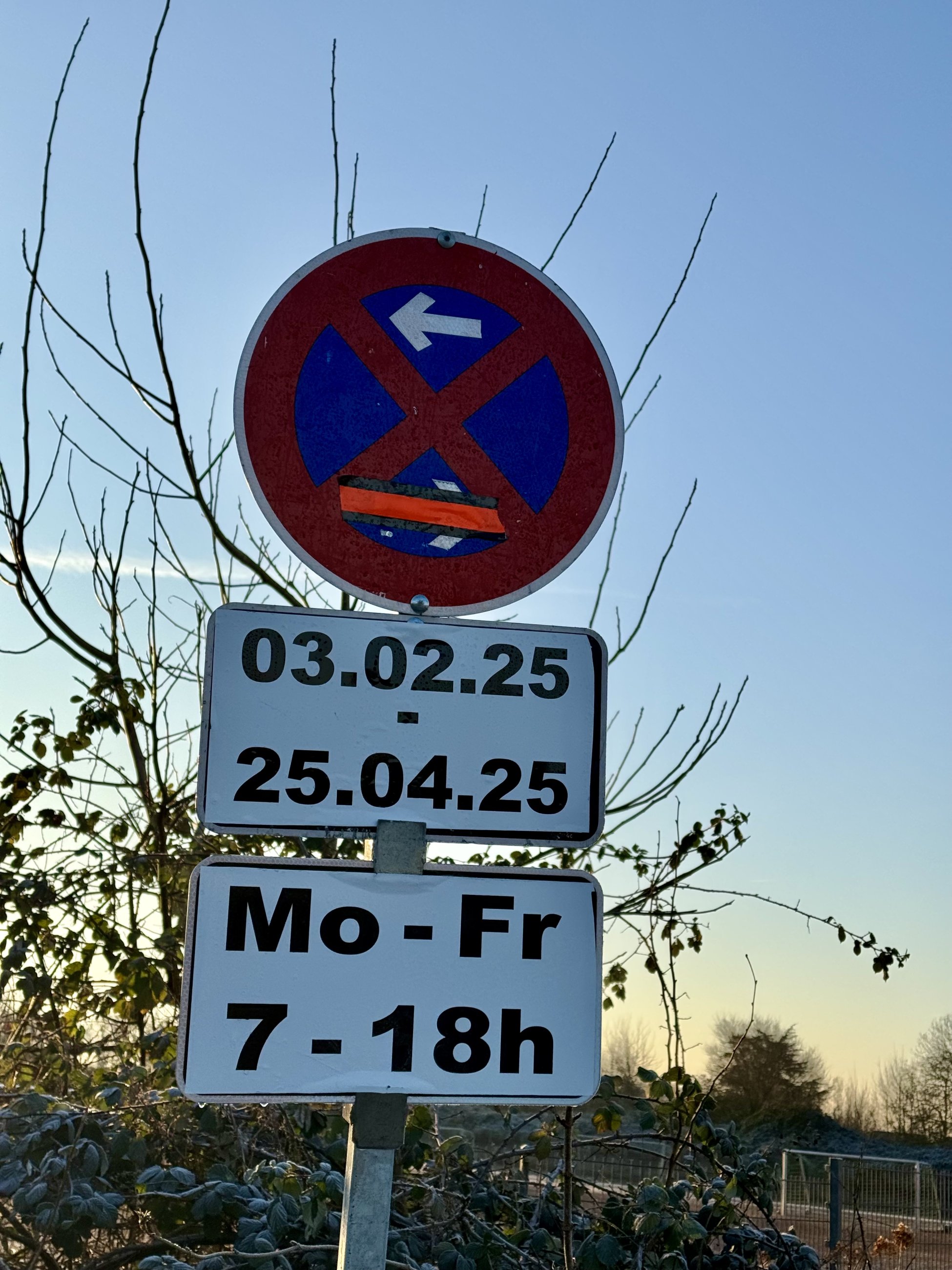 IMG_8200.jpeg