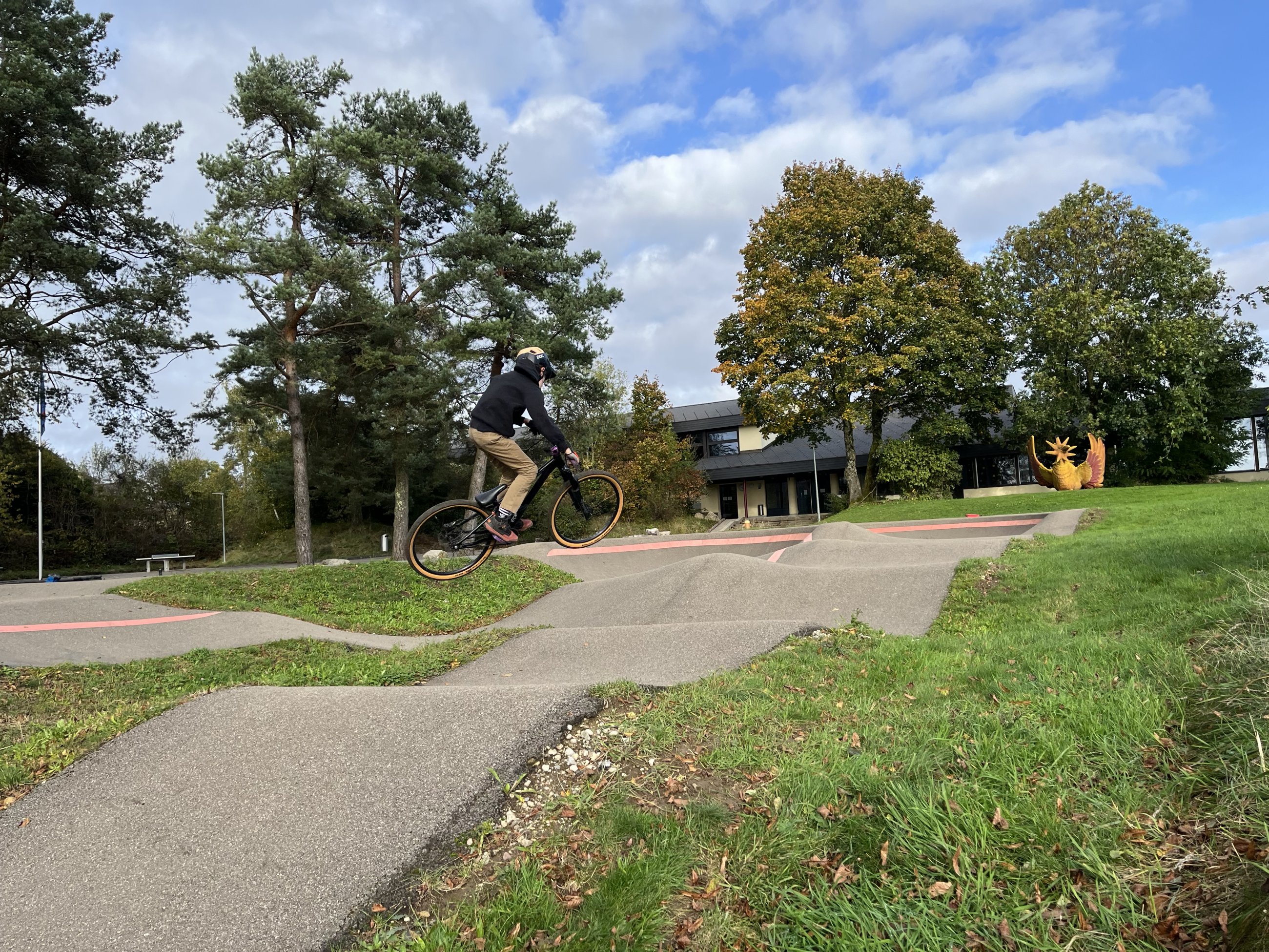 IMG_8470.jpeg