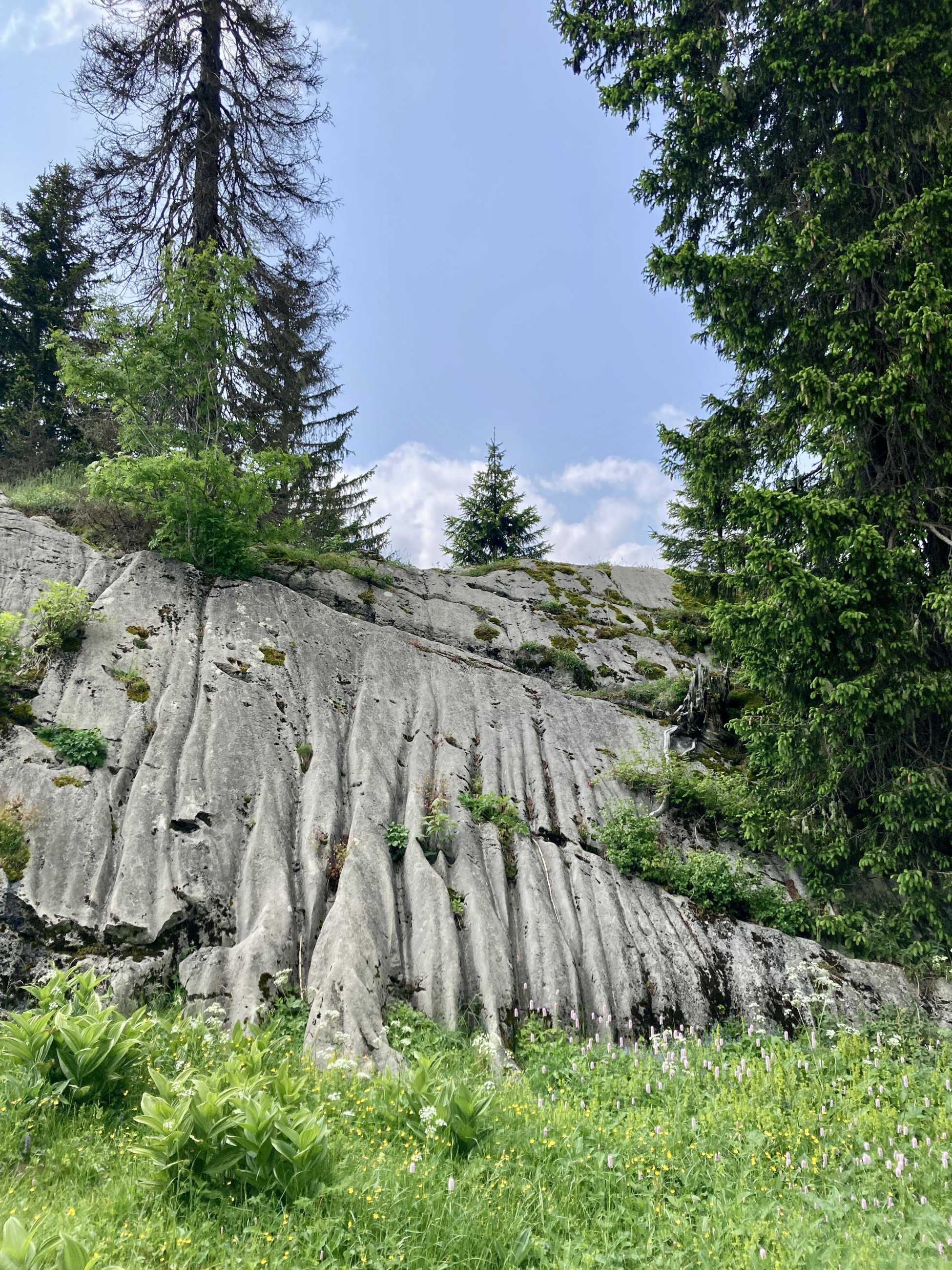 IMG_8672.JPG