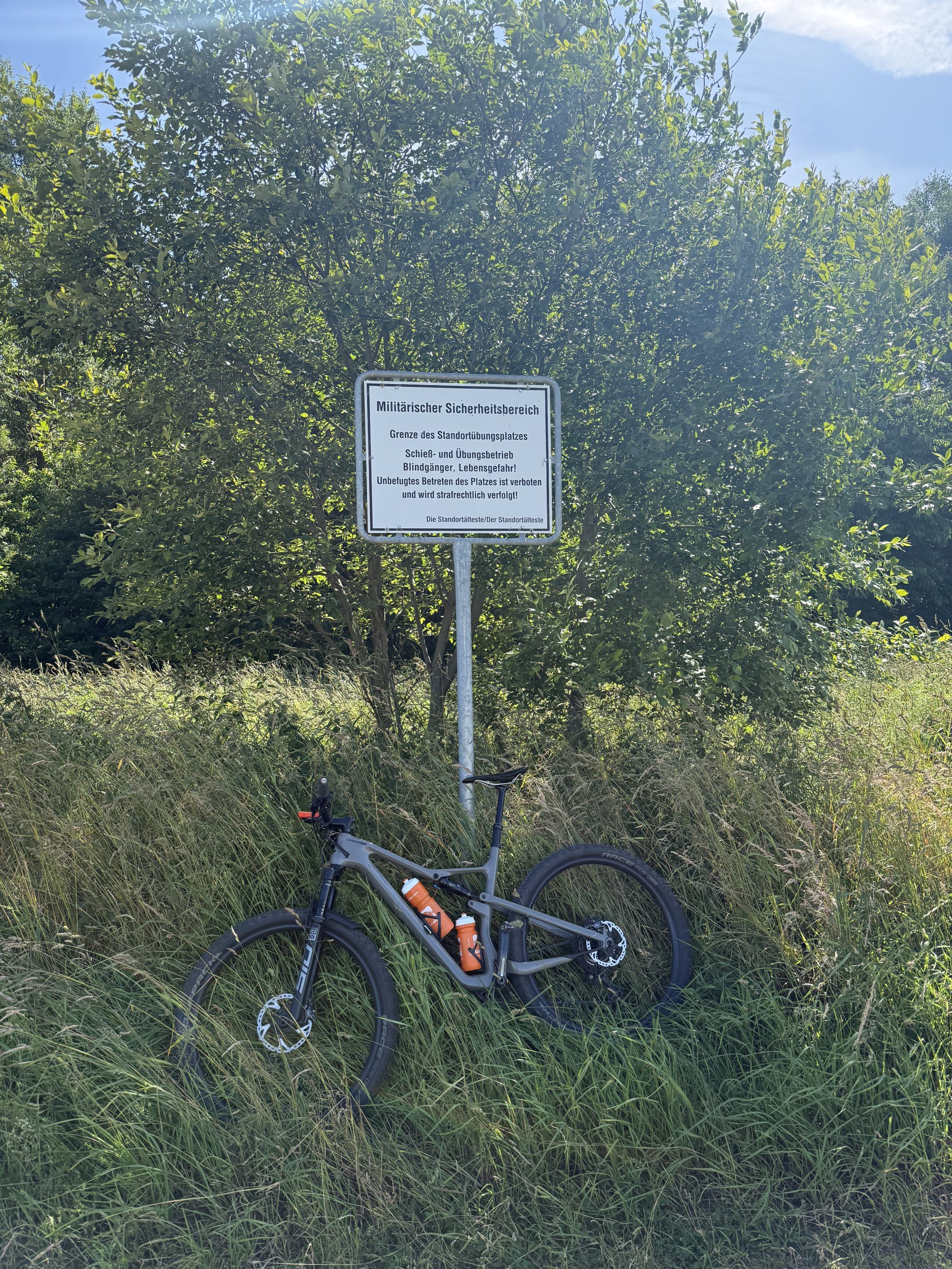IMG_8810.jpeg