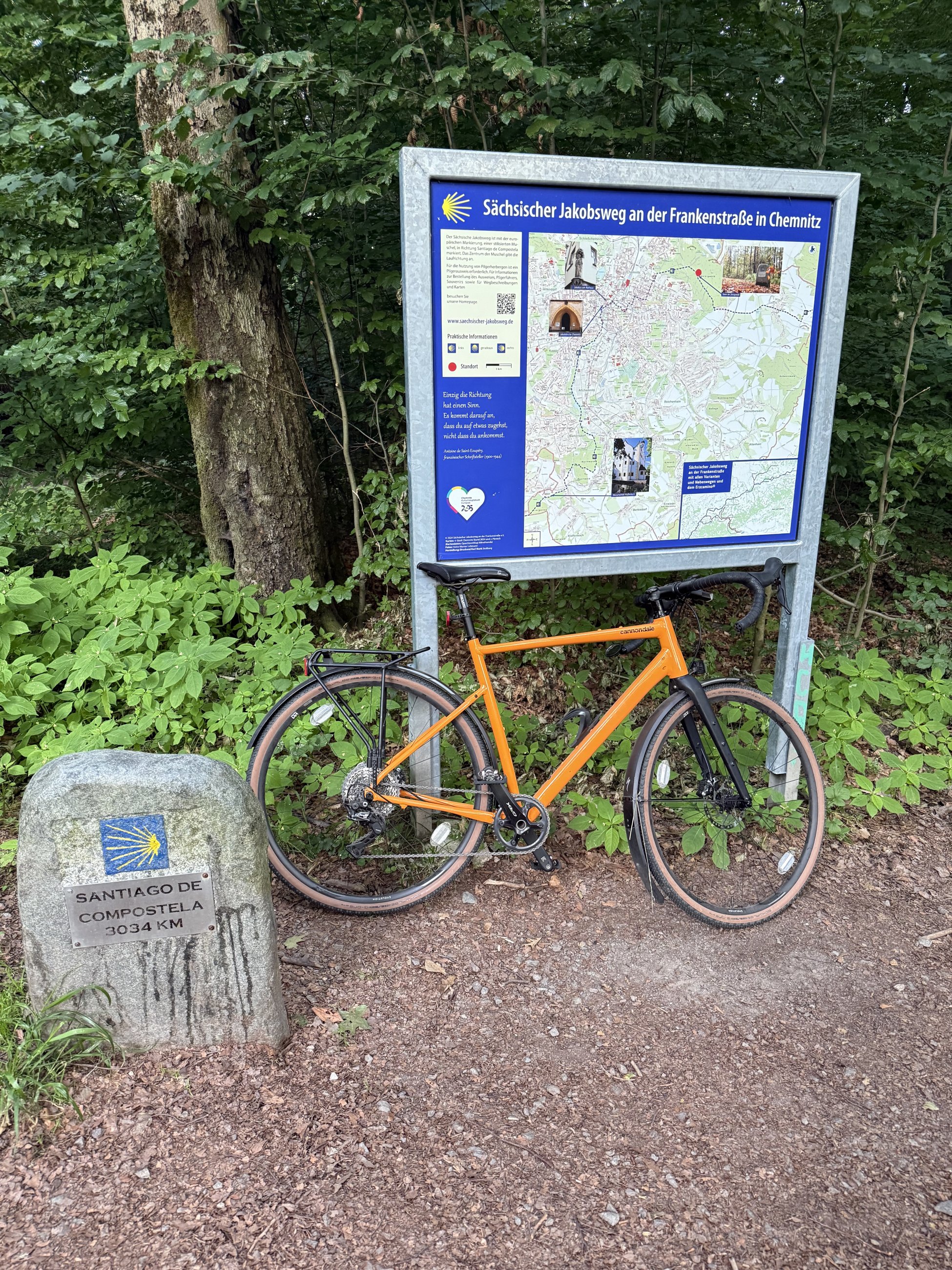 IMG_8907.jpeg