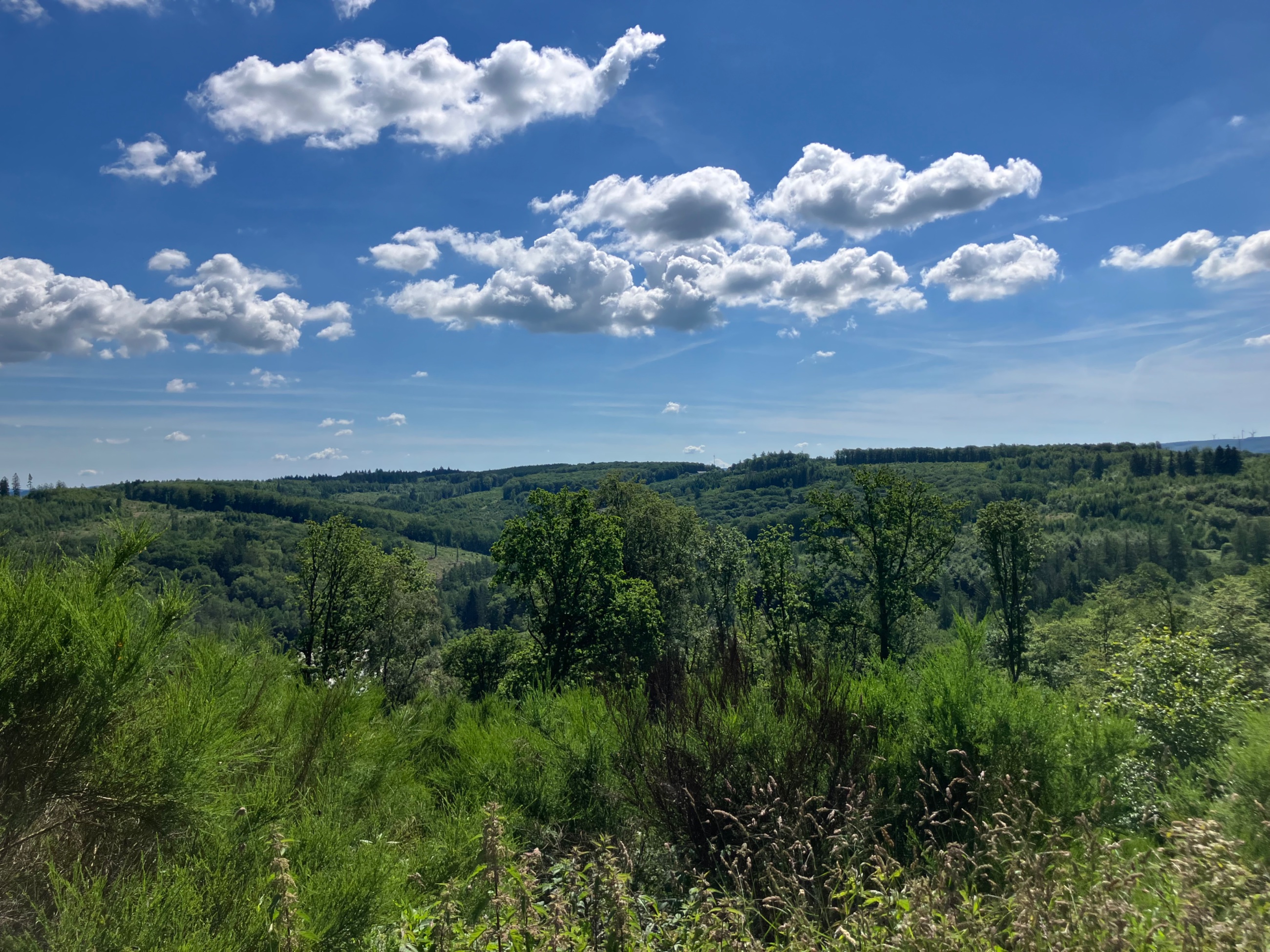 IMG_9410.jpeg