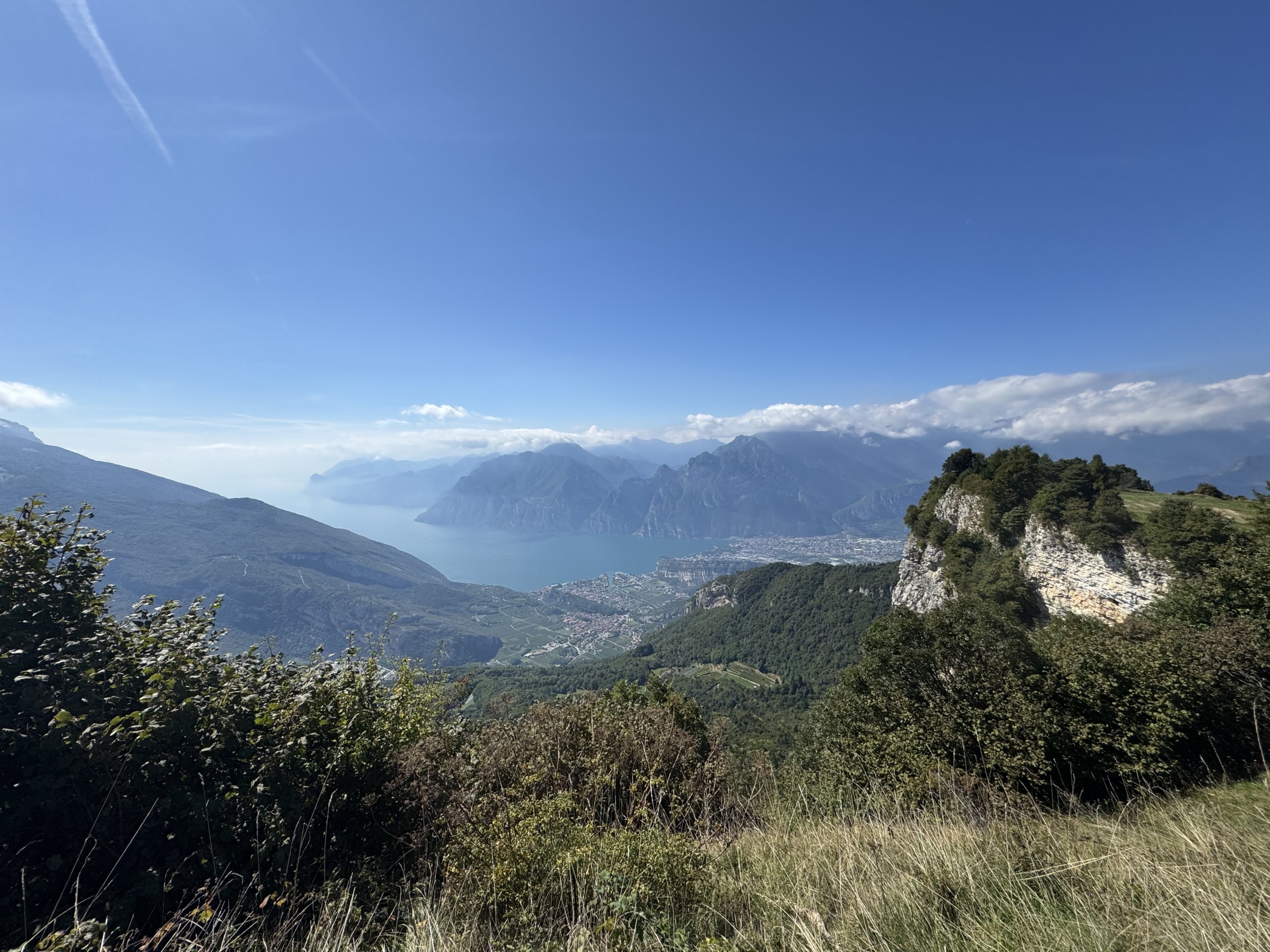IMG_9431.jpeg