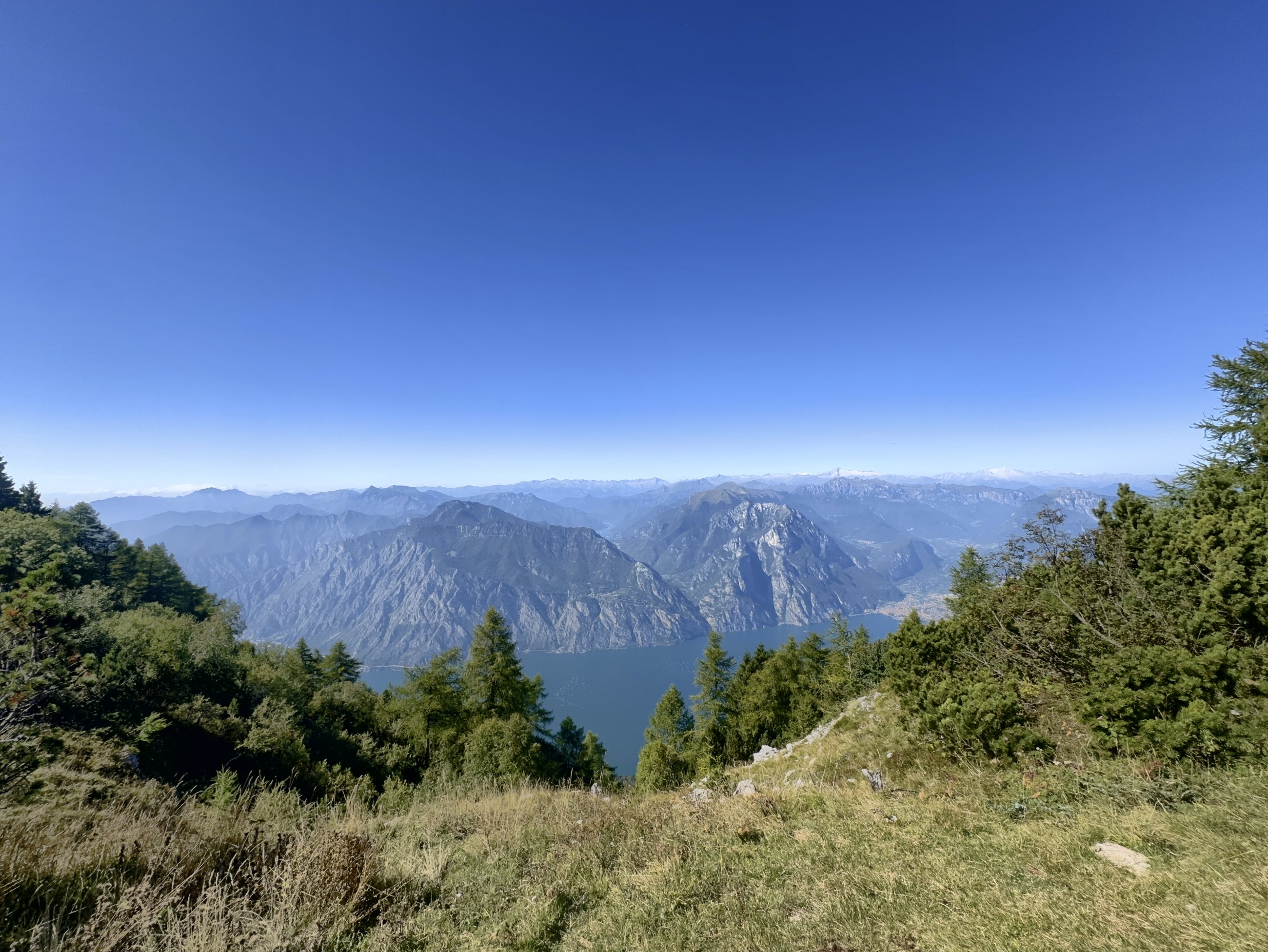 IMG_9455.jpeg